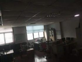虹桥新苑 1室1厅1卫 73.00m&sup2;