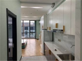 圆融堤调 1室1厅1卫 55m&sup2;