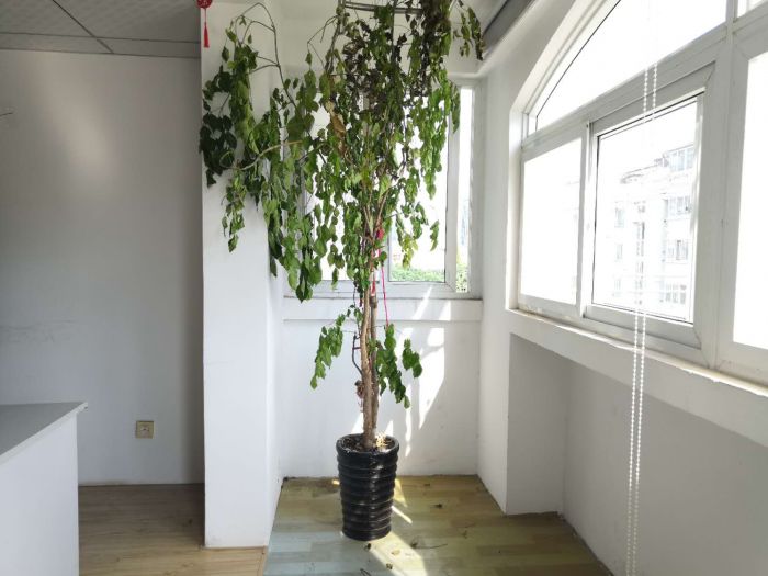 春晖花园 2室2厅1卫 103m&sup2;