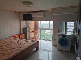 纽约时代 1室1厅1卫 45m&sup2;
