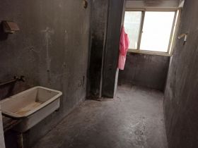 星辰花园 1室1厅1卫 54.1m²