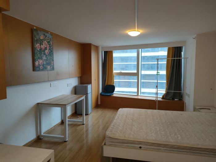 中南世纪城北区 1室1厅1卫 49.00m&sup2;