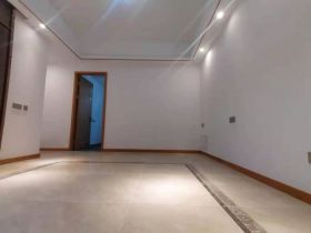中南世纪花城三期 1室1厅1卫 66m²