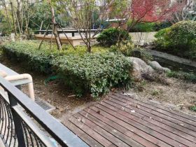 军山花园 4室2厅2卫 172m&sup2;
