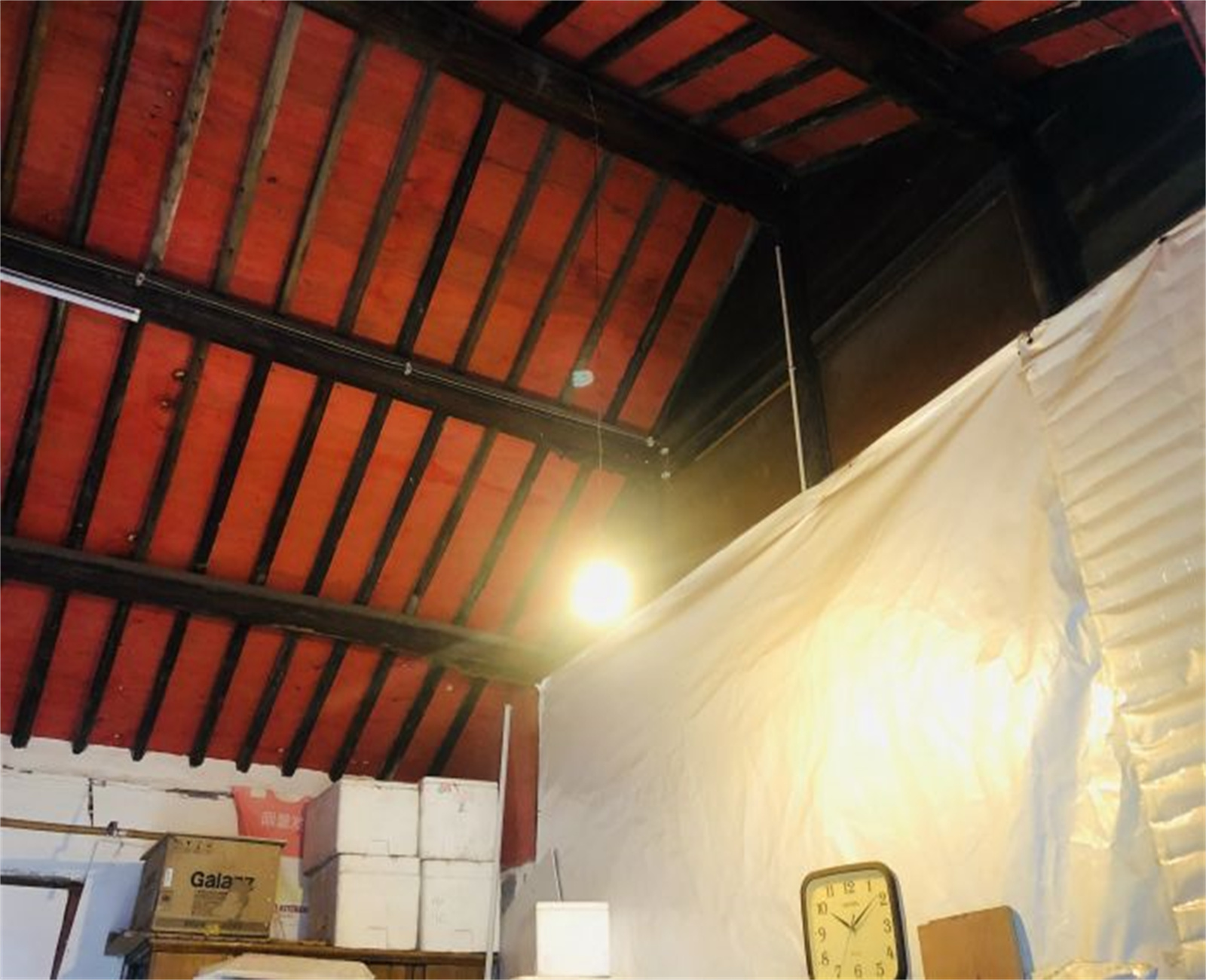 东北营27号 1室1厅1卫 23.25m&sup2;