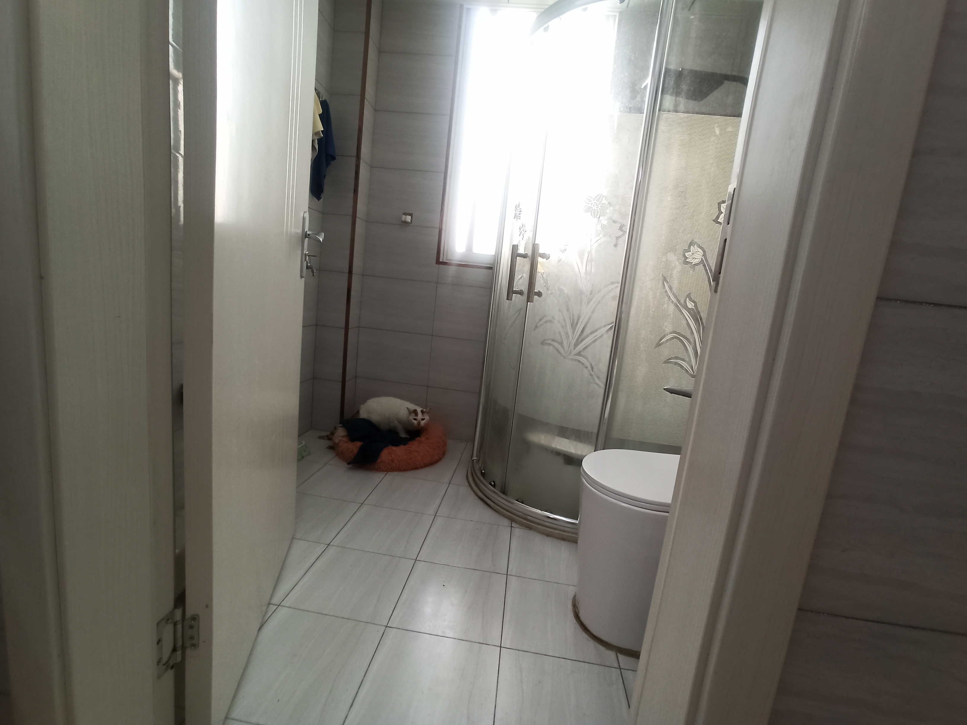 大东公寓 2室2厅1卫 101m&sup2;