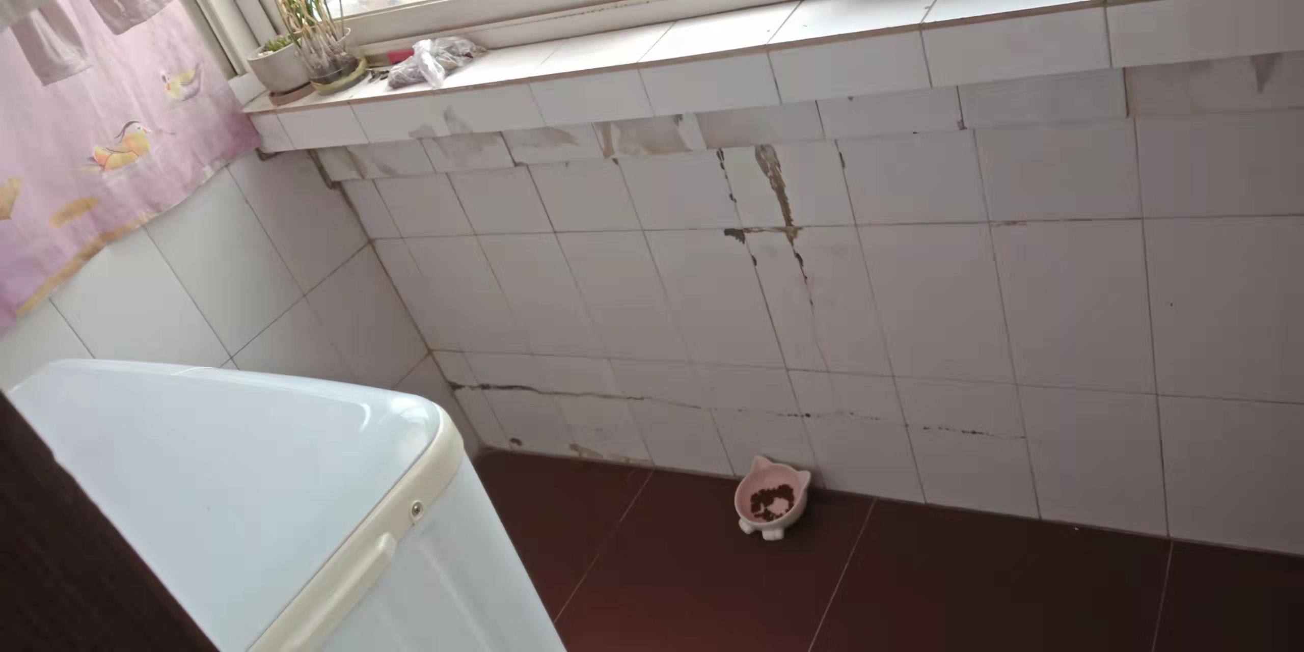 新桥路8号 1室1厅1卫 48m&sup2;