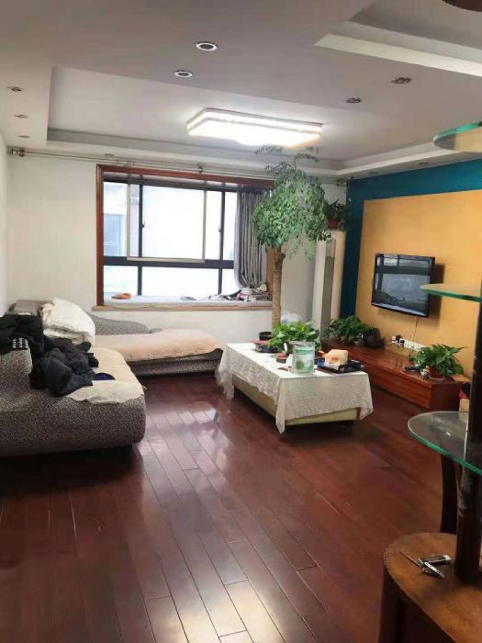 东景新城 3室1厅1卫 116.9m&sup2;