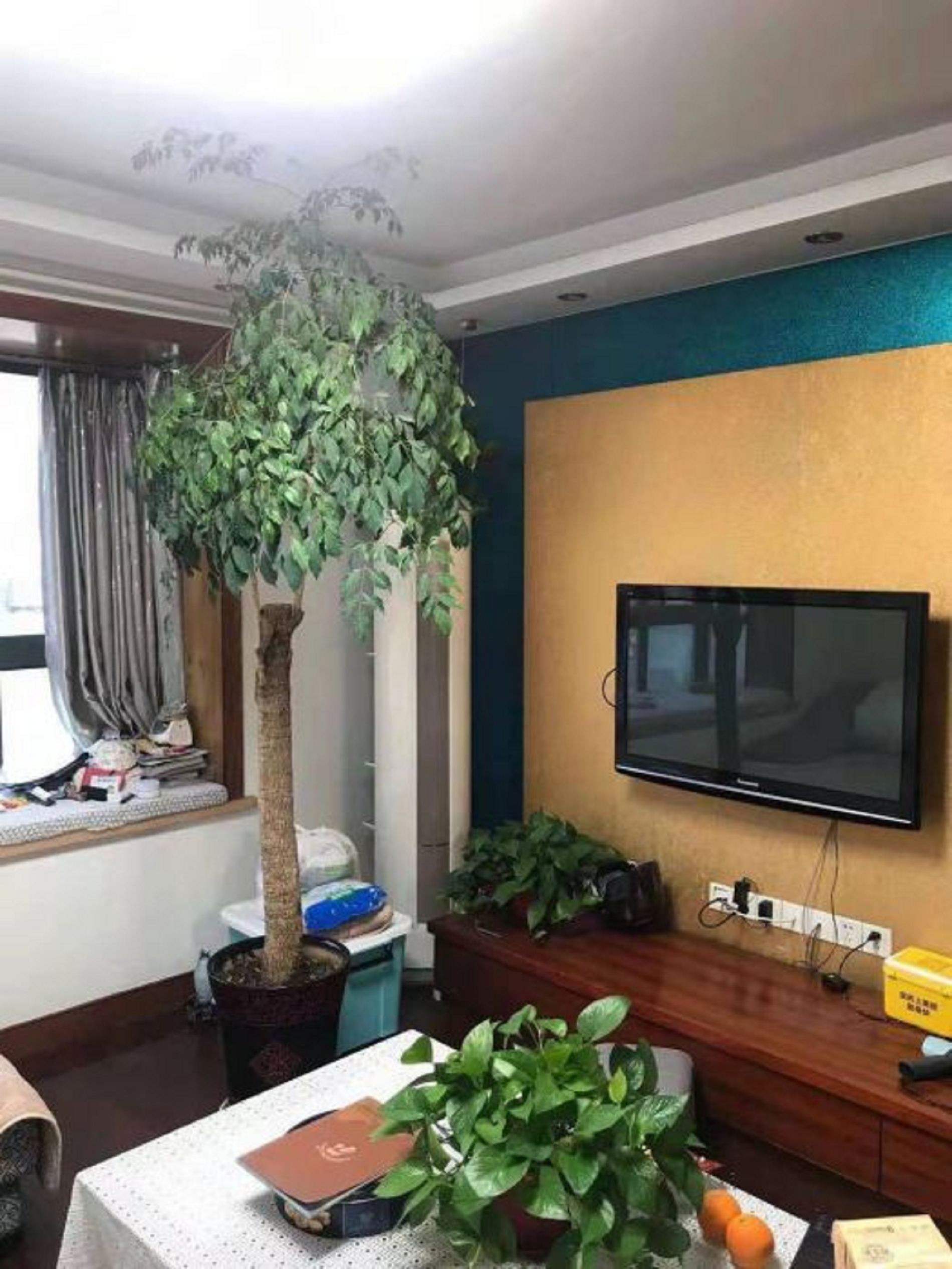 东景新城 3室1厅1卫 116.9m&sup2;