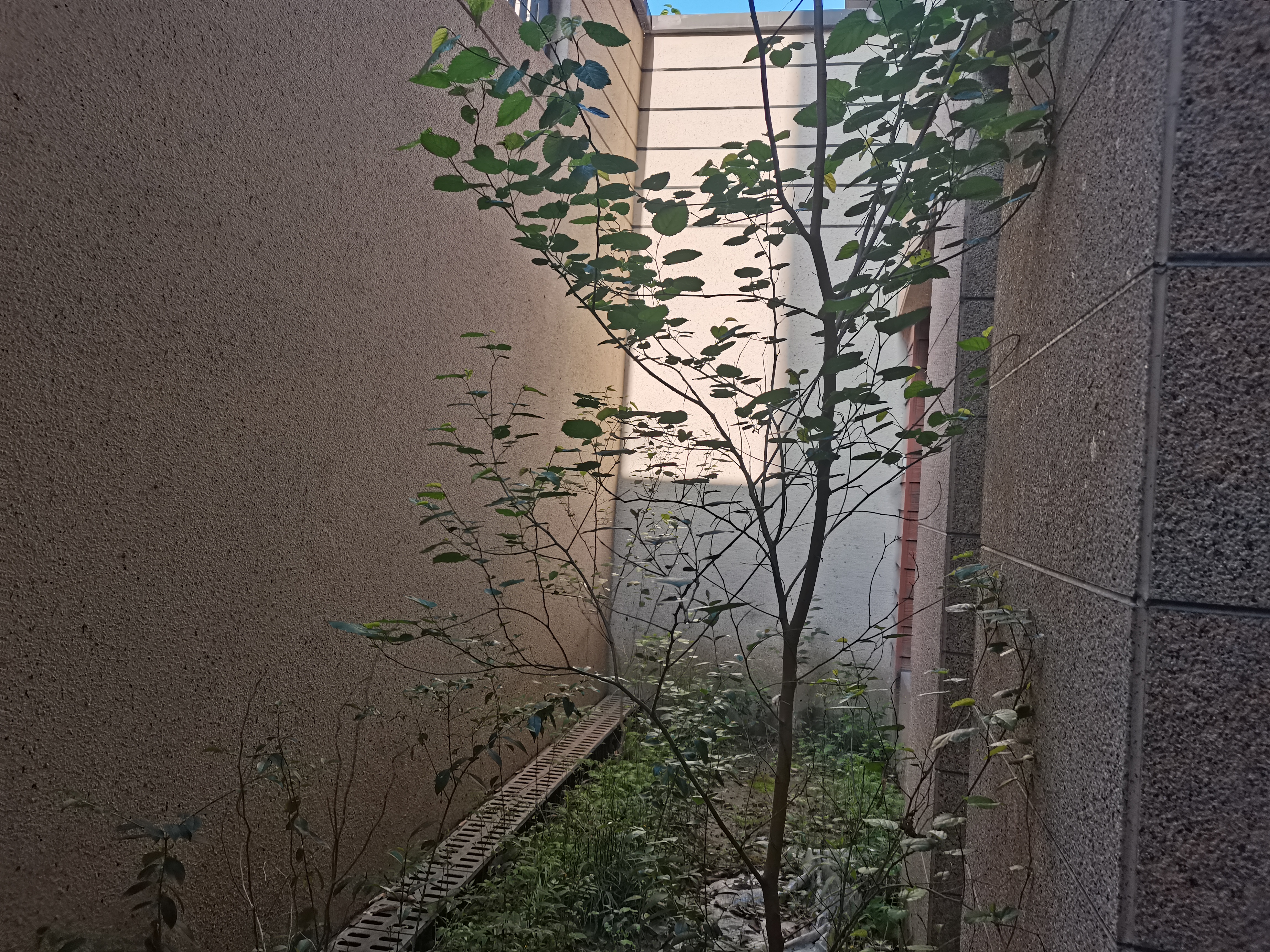 万科白鹭郡 3室2厅2卫 104.07m²
