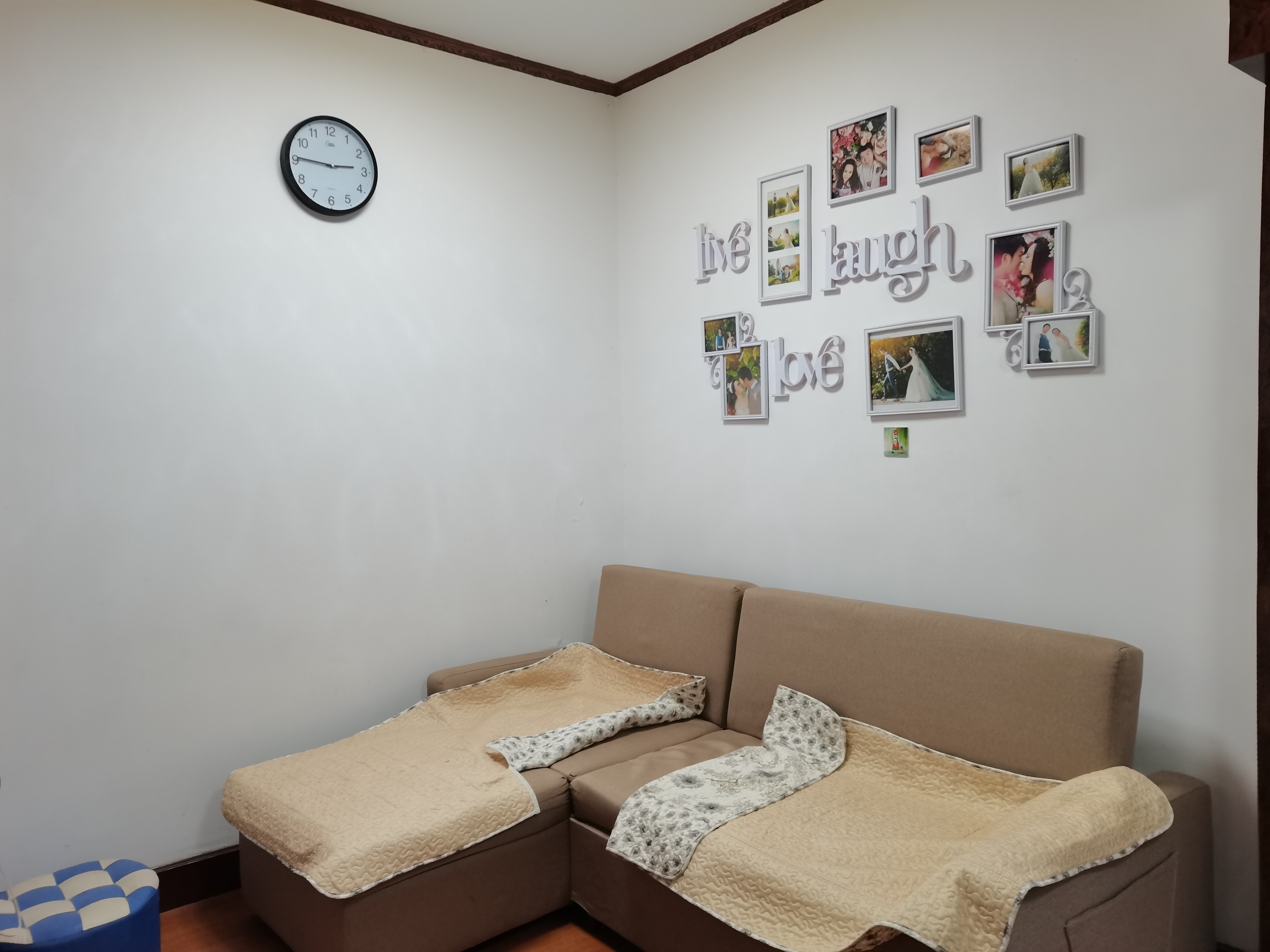 新桥商业楼 1室1厅1卫 52m²