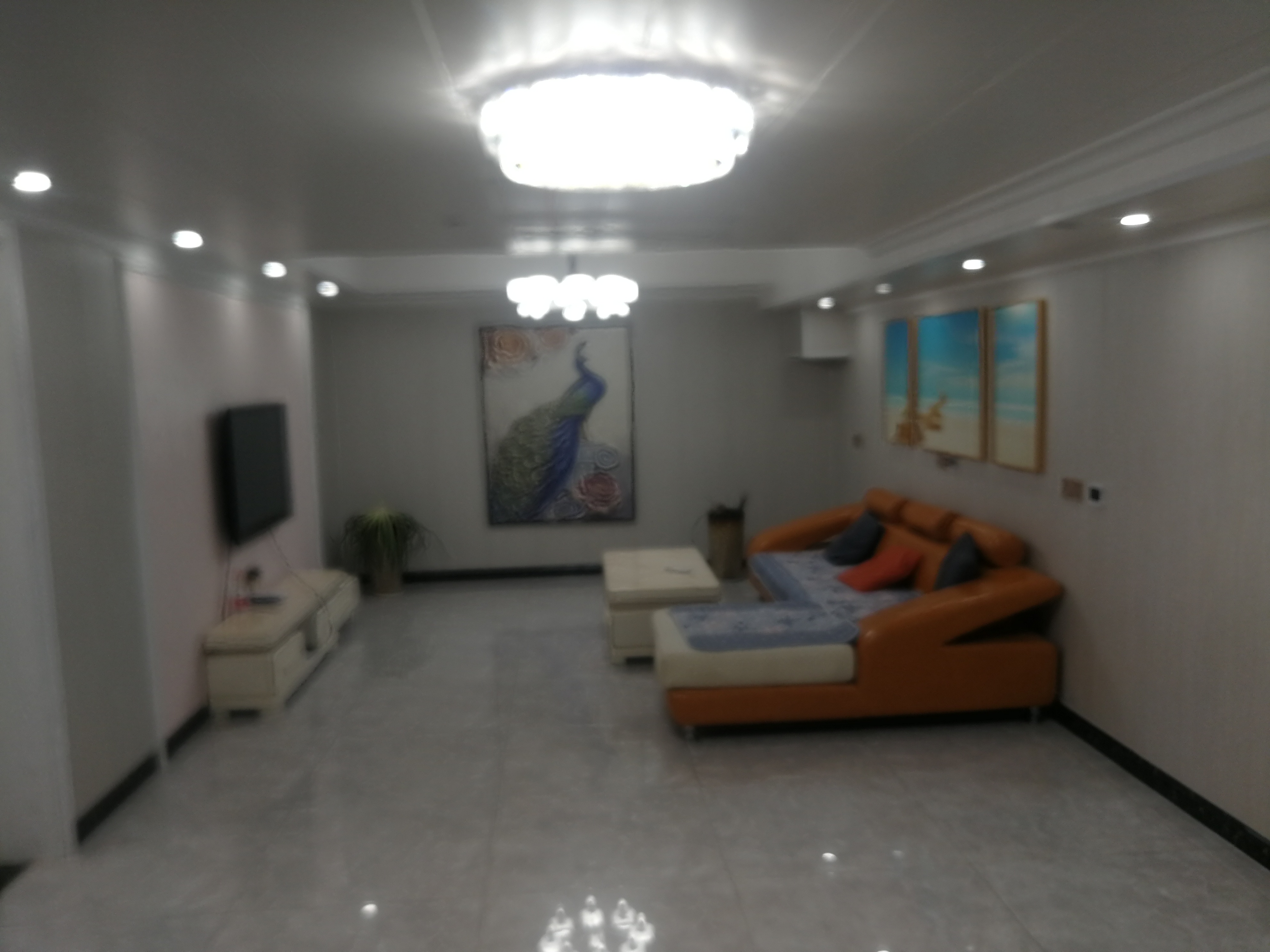 唐人公寓 5室3厅3卫 325m²