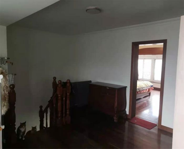 新海通花园 3室1厅1卫 196m&sup2;