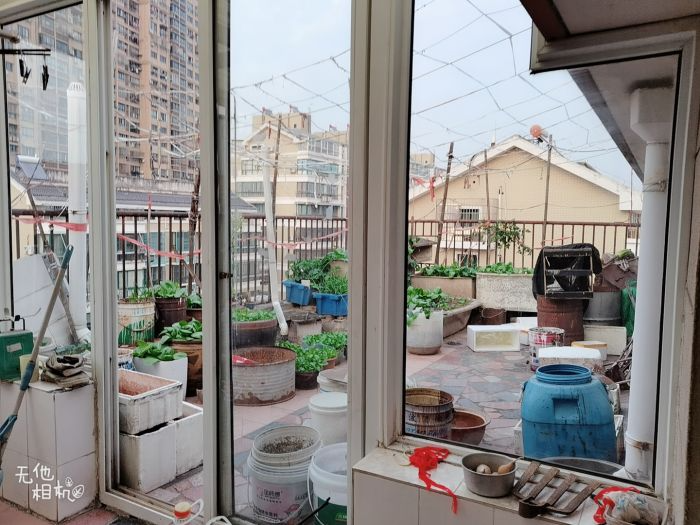 龙王桥新村 3室2厅2卫 229m&sup2;