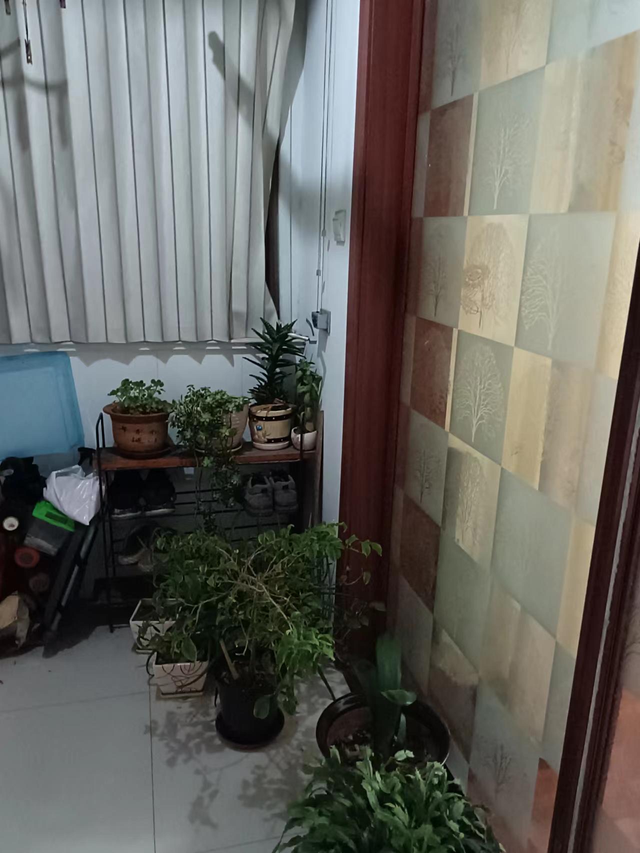 怡园新苑 3室1厅1卫 92m&sup2;