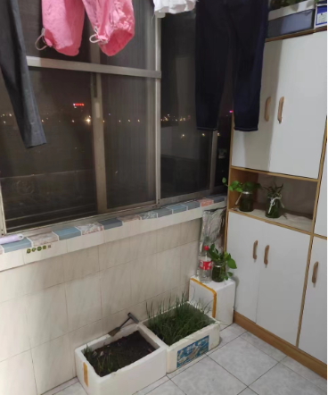 大南新村 2室1厅1卫 66m&sup2;