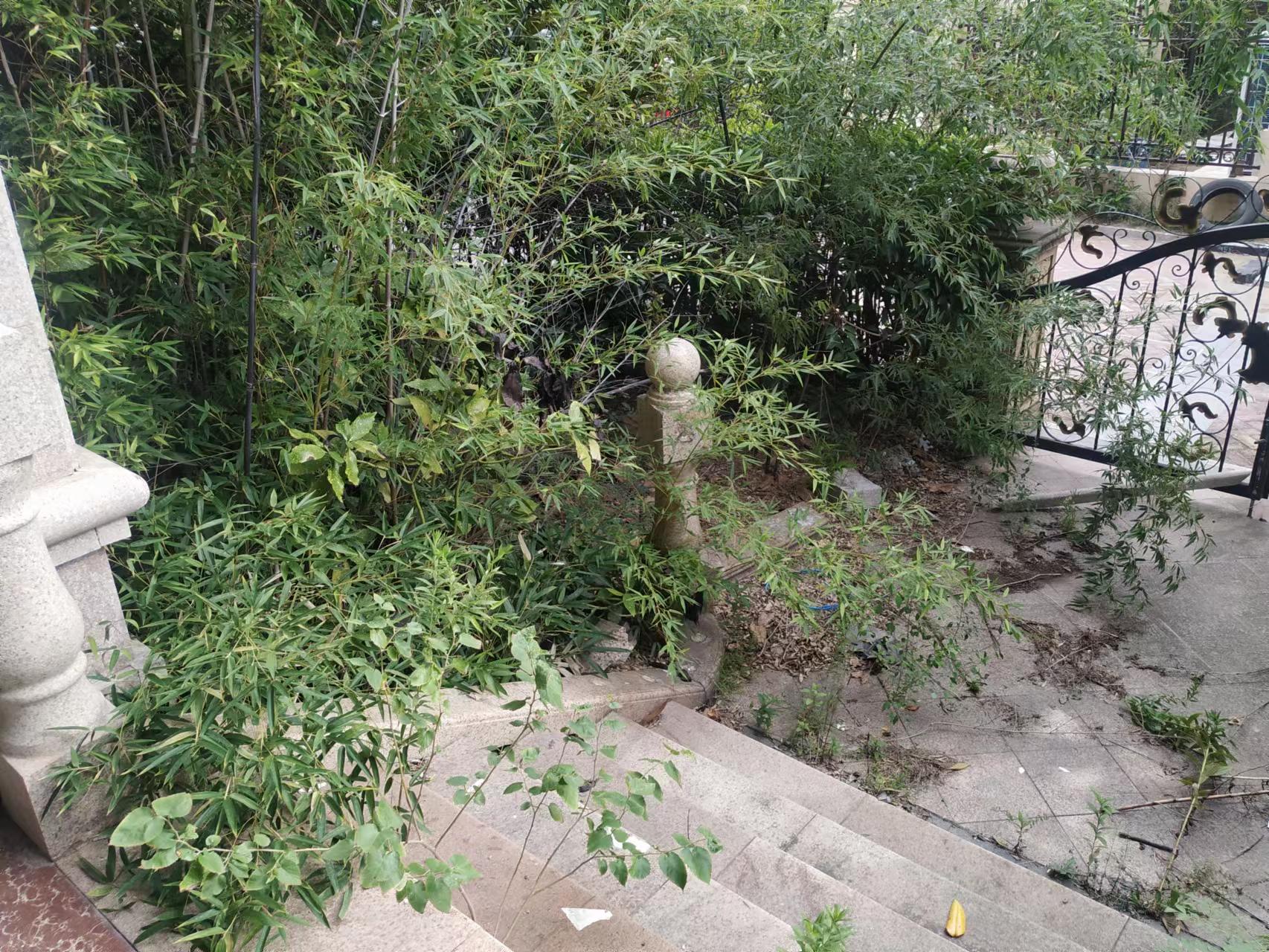 金水湾花园 7室6厅3卫 247.00m&sup2;