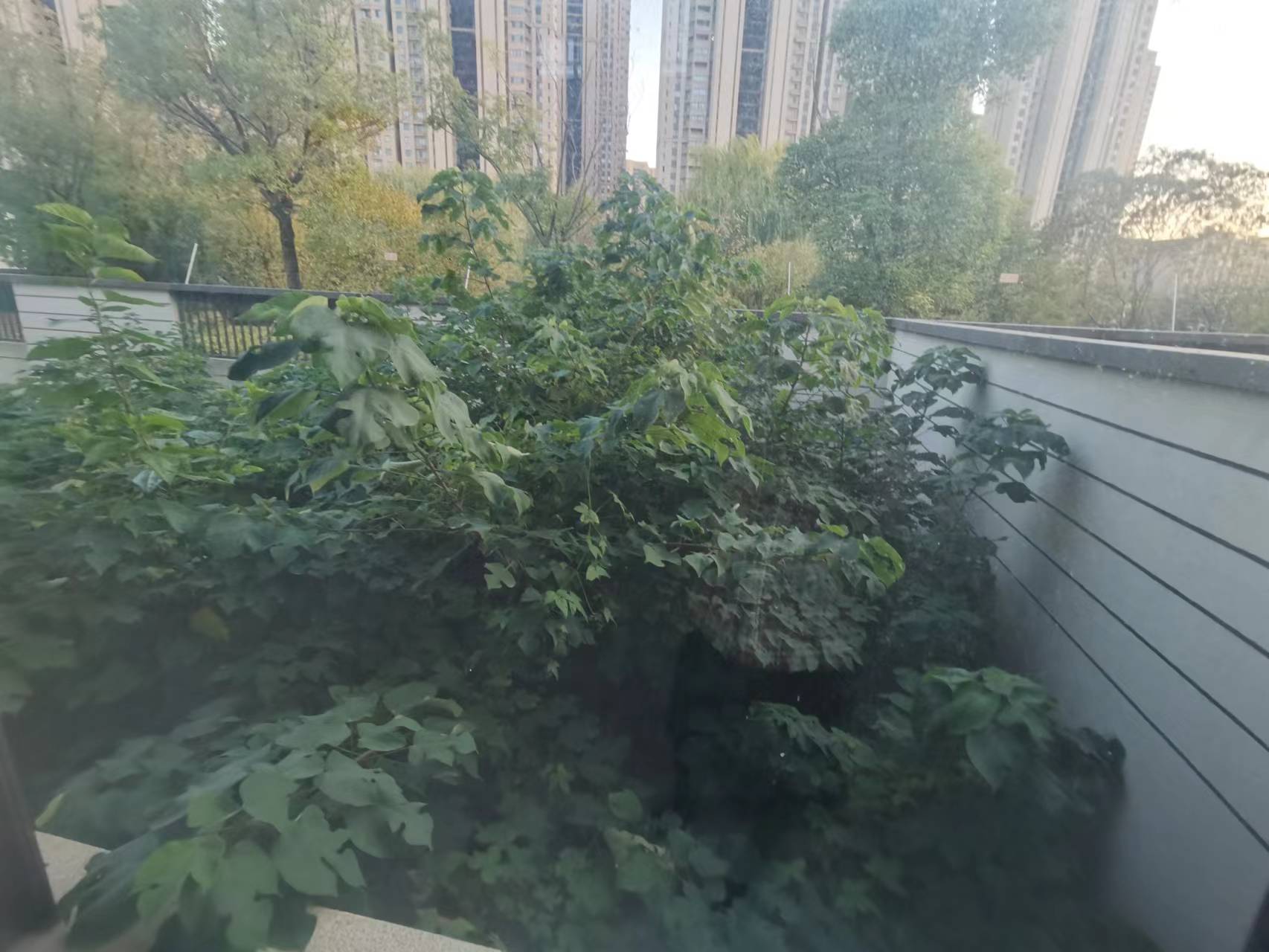 万科白鹭郡 5室2厅3卫 226.97m&sup2;