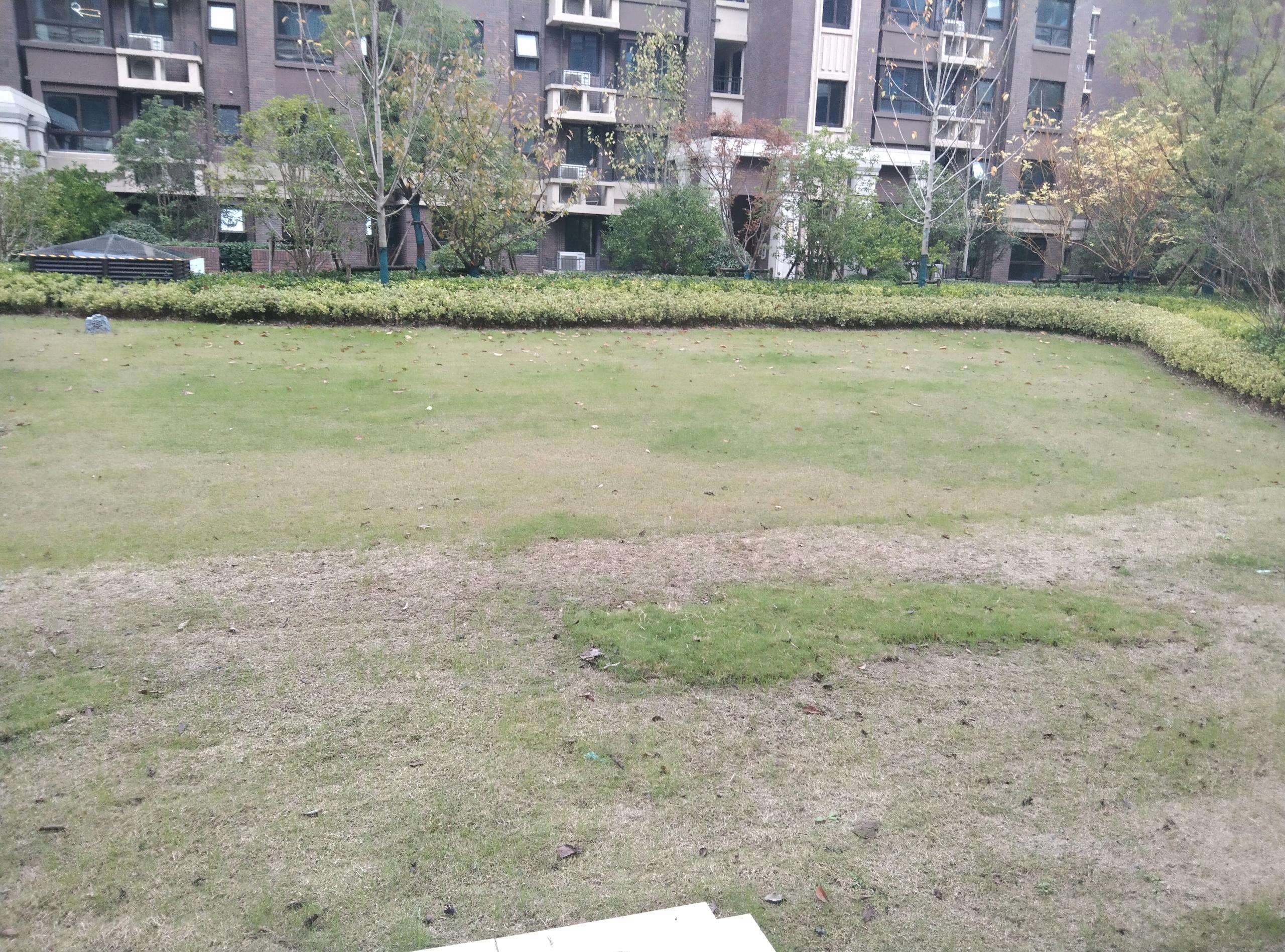 林肯公园 4室2厅2卫 125m&sup2;