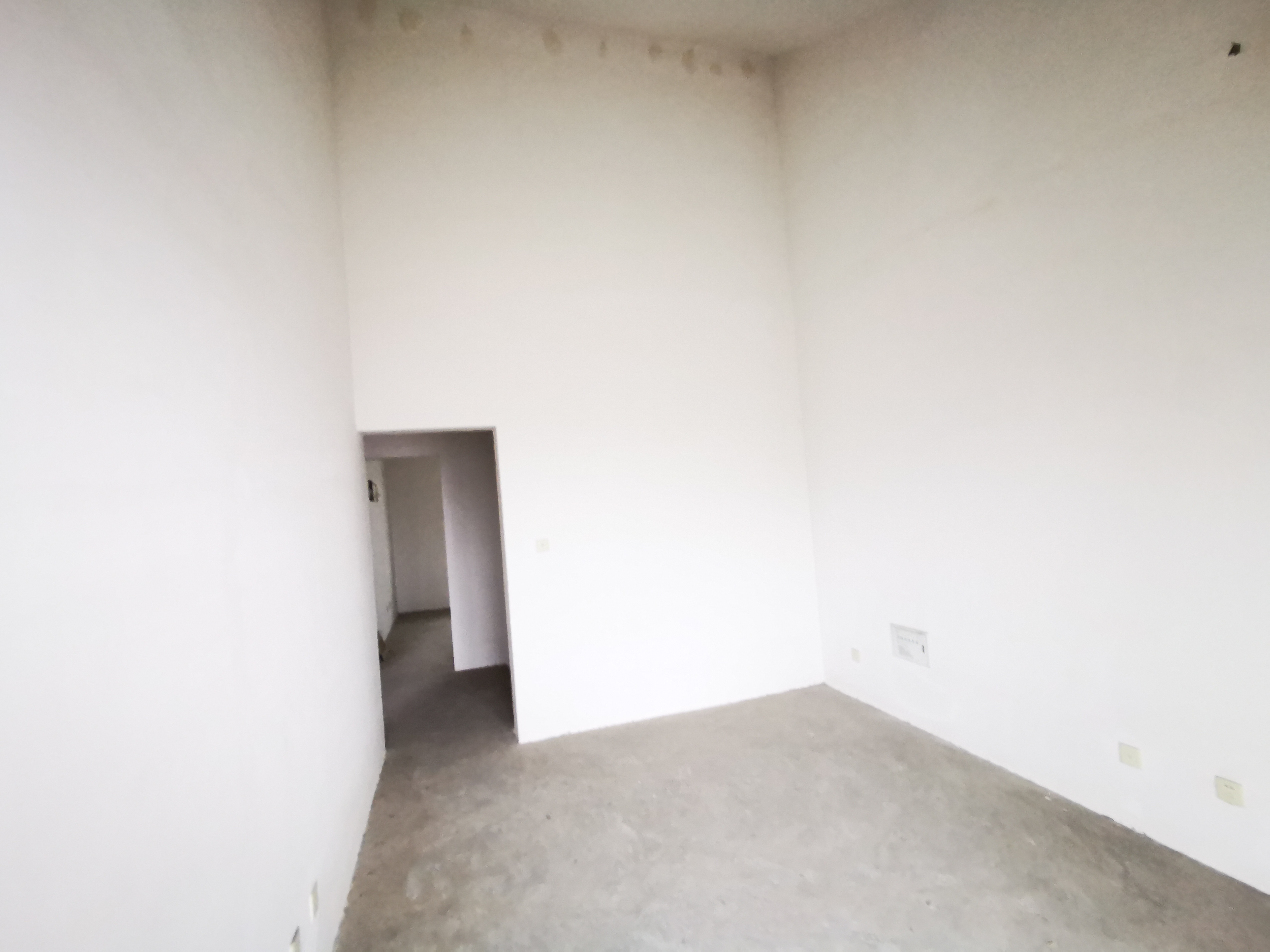 青青家园 4室3厅2卫 270m²