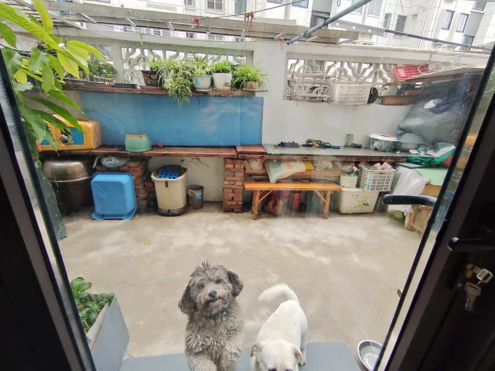长虹新村 3室1厅1卫 73m&sup2;