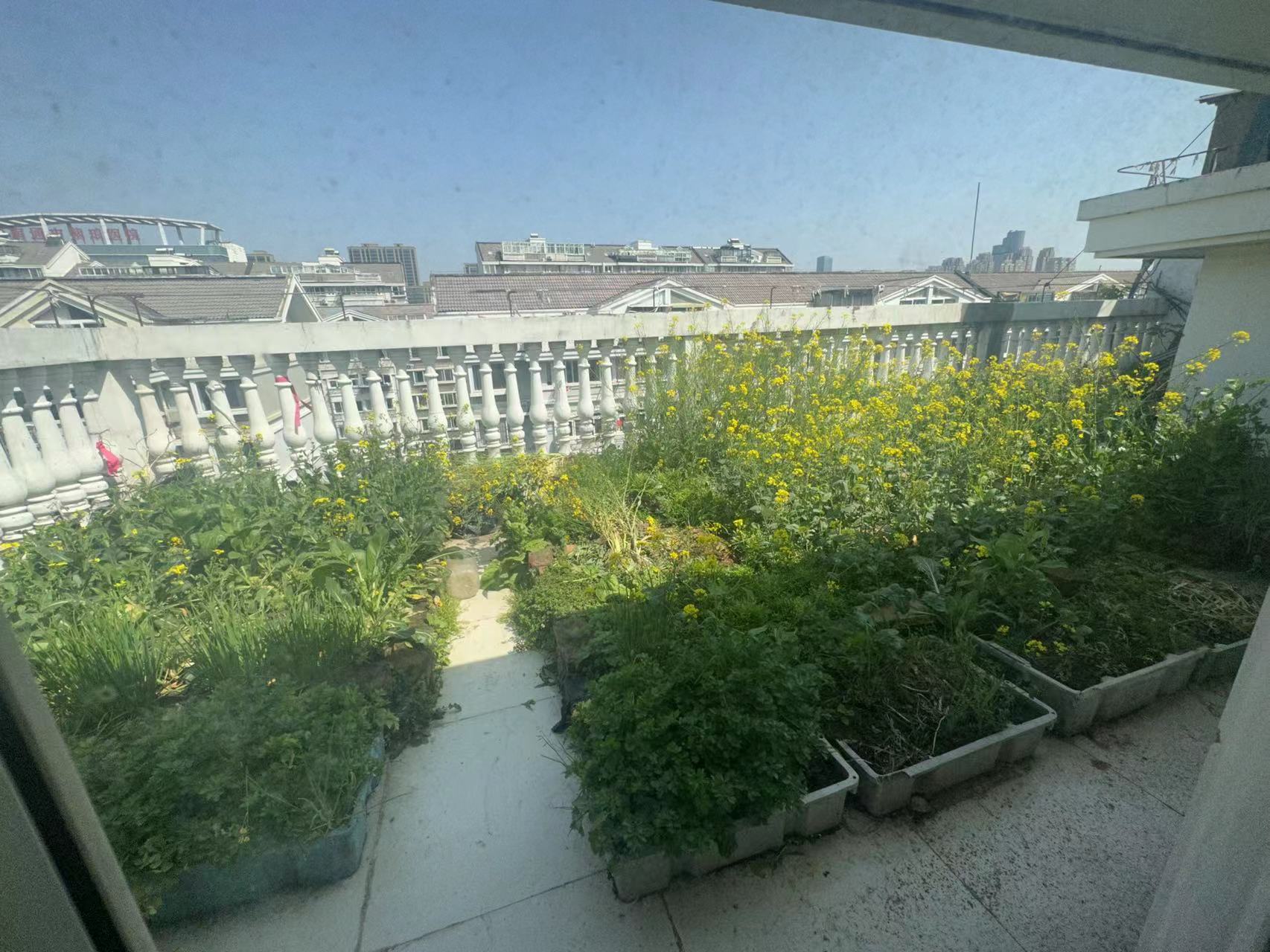 春晖花园 4室2厅3卫 149.9m&sup2;