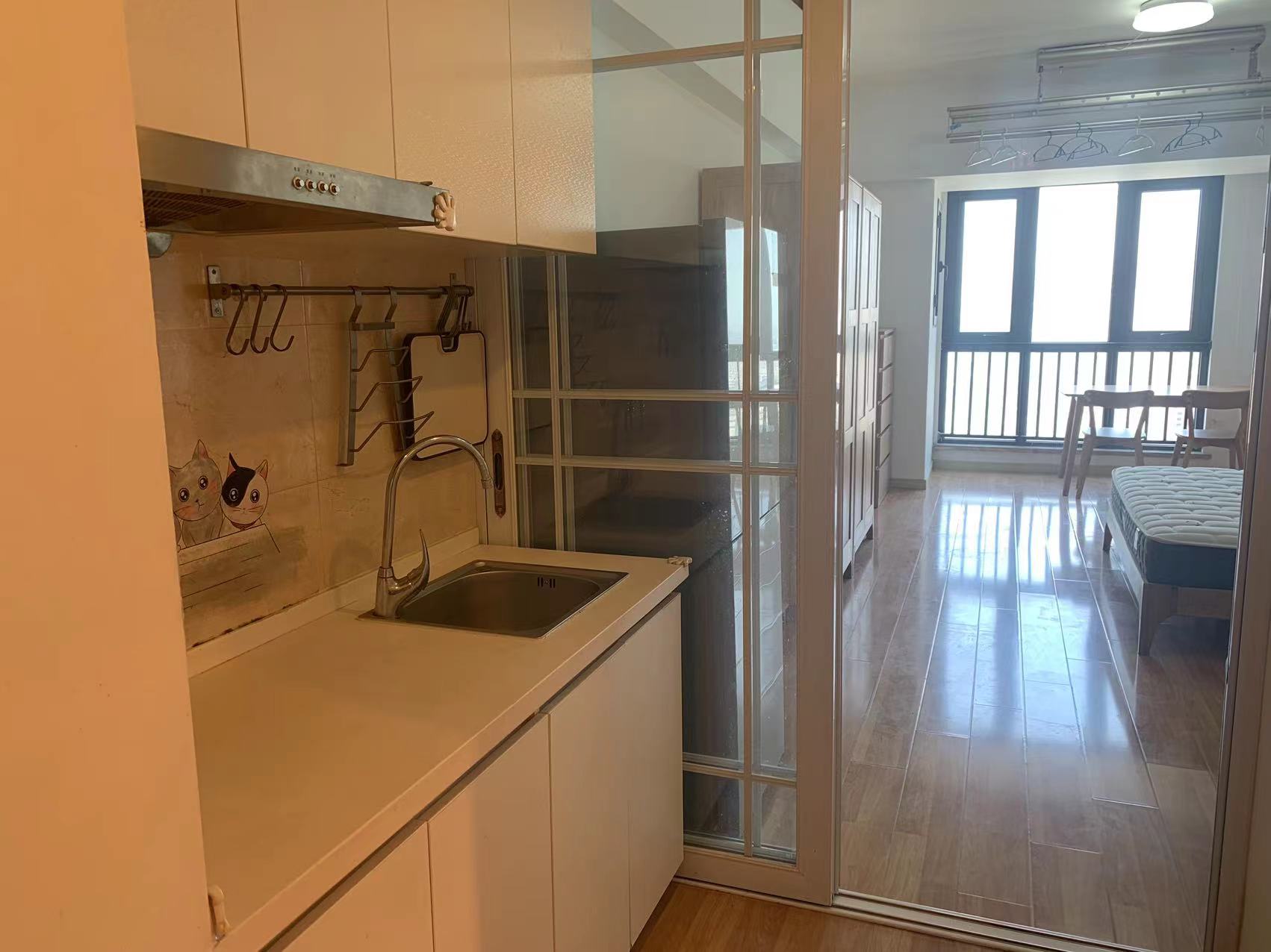 南通万达广场 1室1厅1卫 55m²