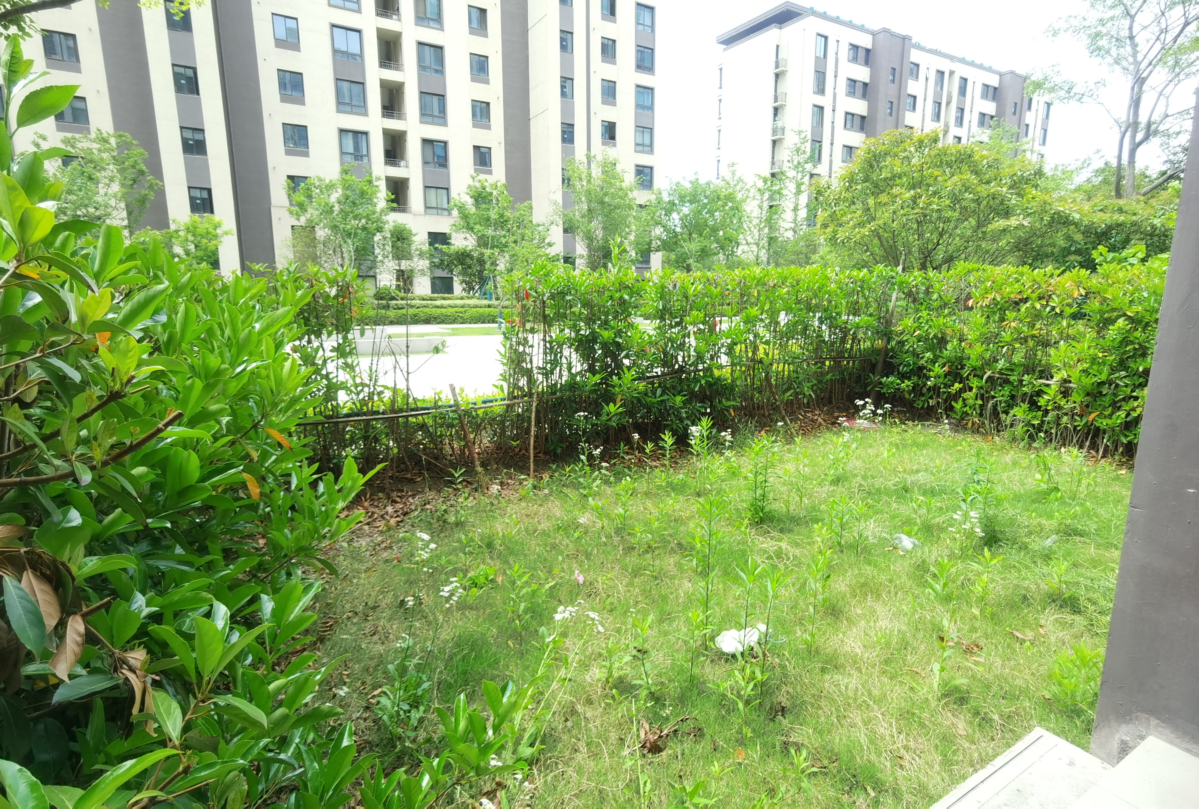 湖山源著 3室2厅1卫 98.00m&sup2;