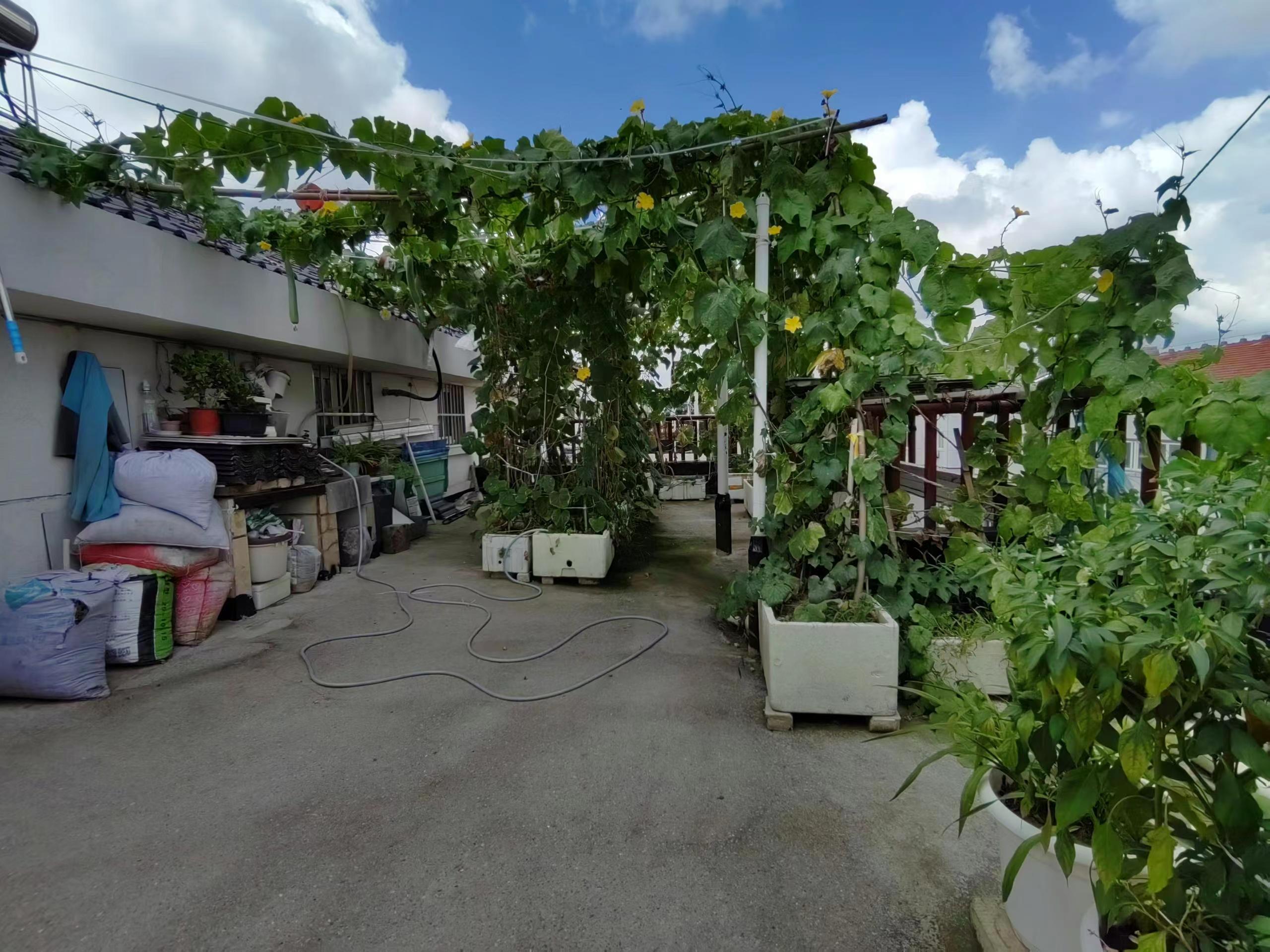 郭里园 4室2厅1卫 85m&sup2;