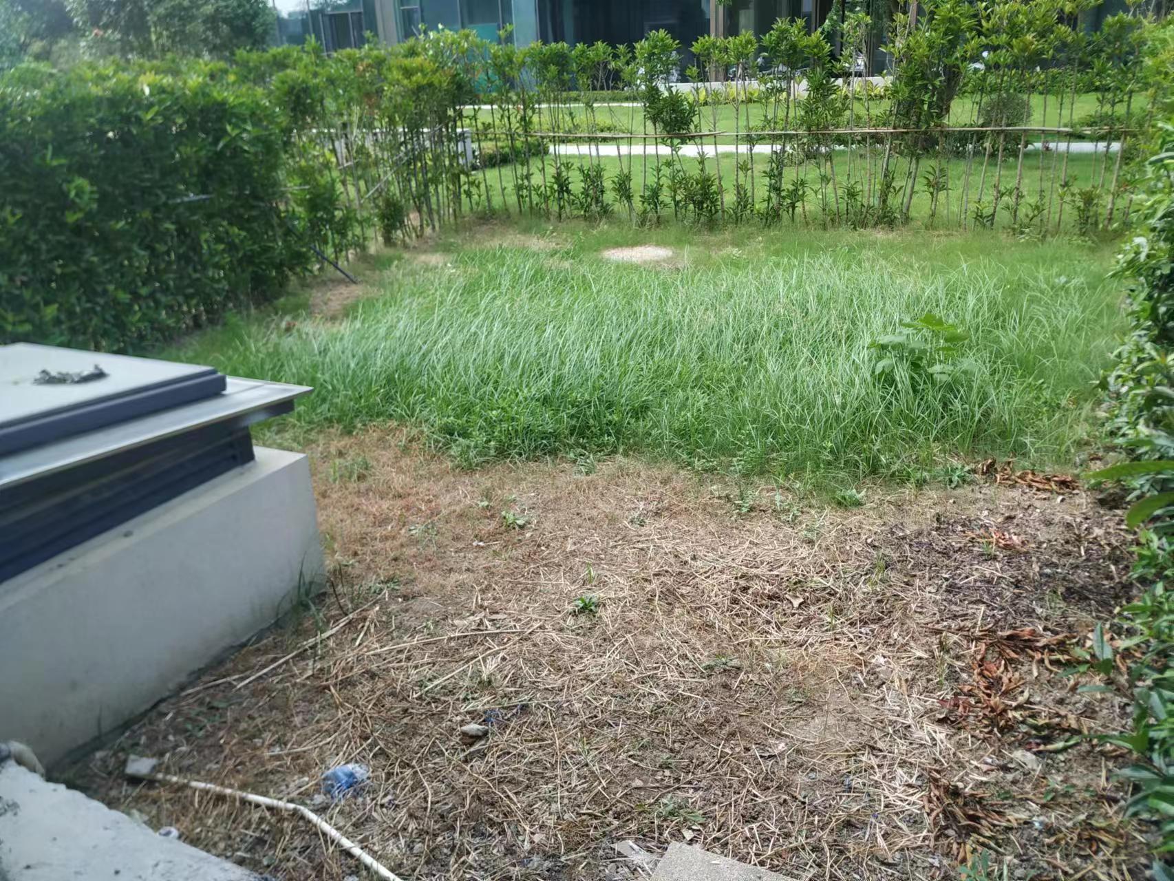崇州府 3室2厅3卫 162m&sup2;