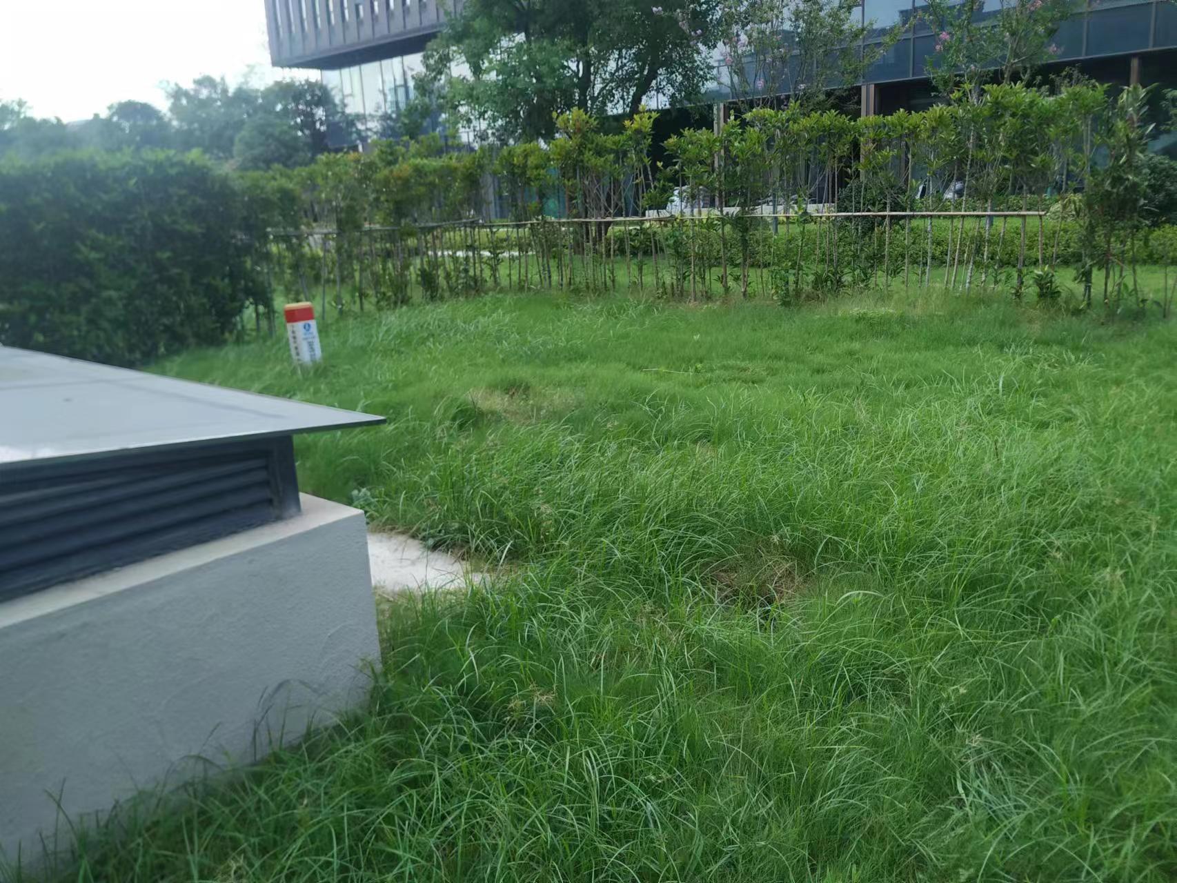崇州府 3室2厅3卫 162m&sup2;