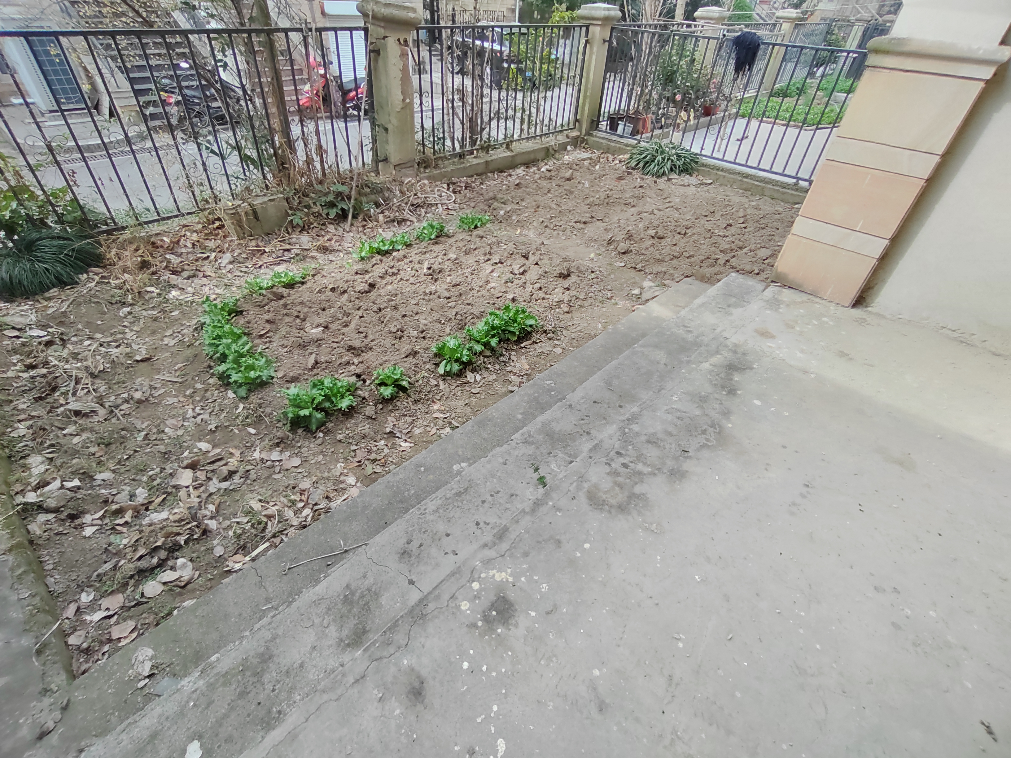博园岚郡 5室3厅3卫 260m&sup2;