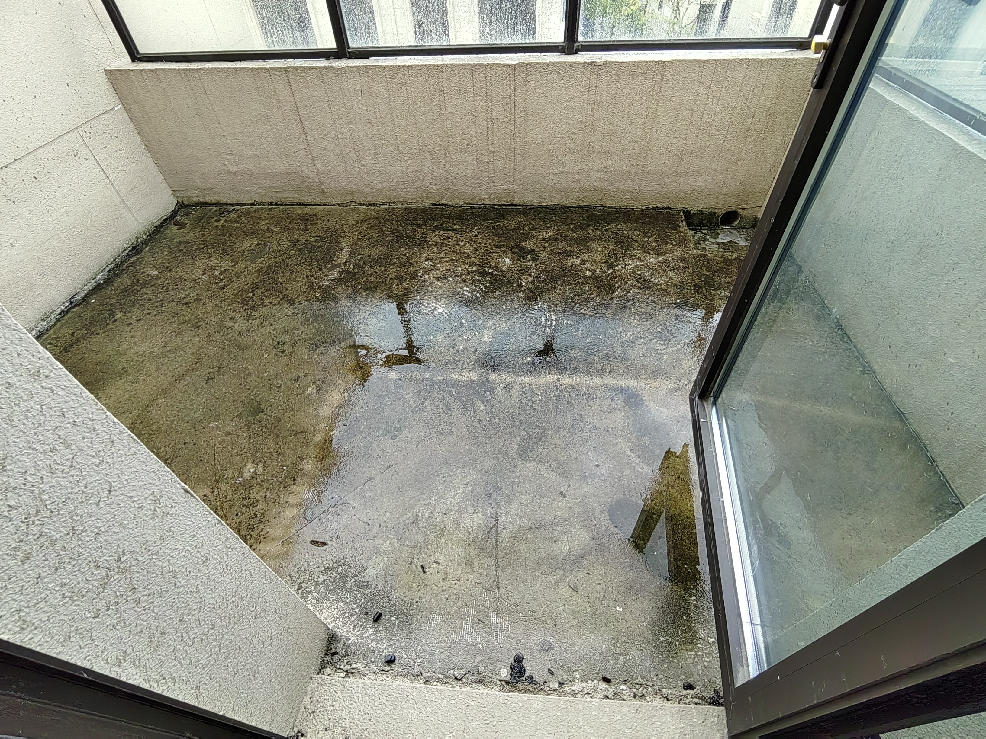 万科有湖（翡翠心湖） 4室2厅2卫 300.00m&sup2;