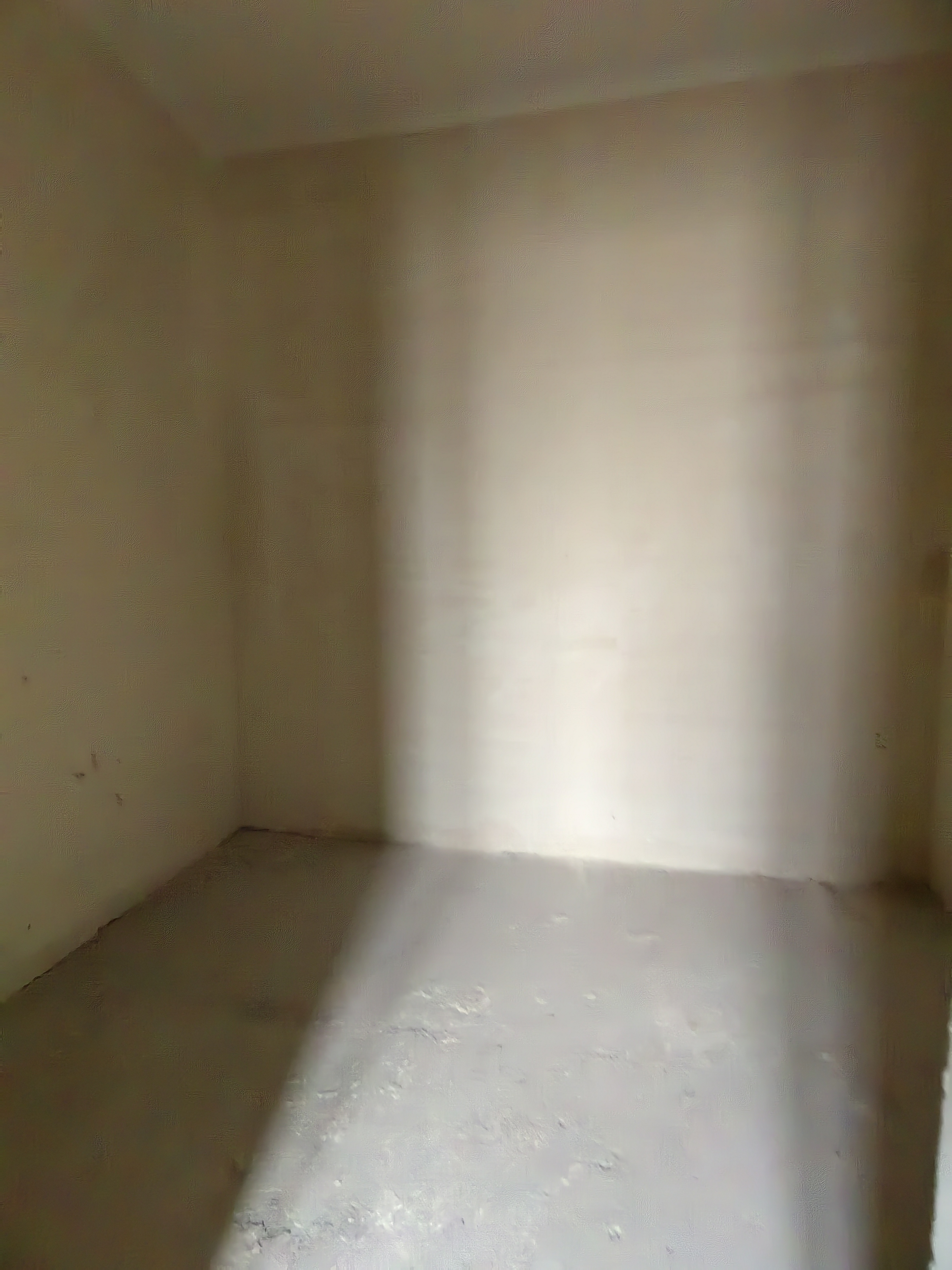 万科有湖（翡翠心湖） 4室2厅2卫 300.00m&sup2;