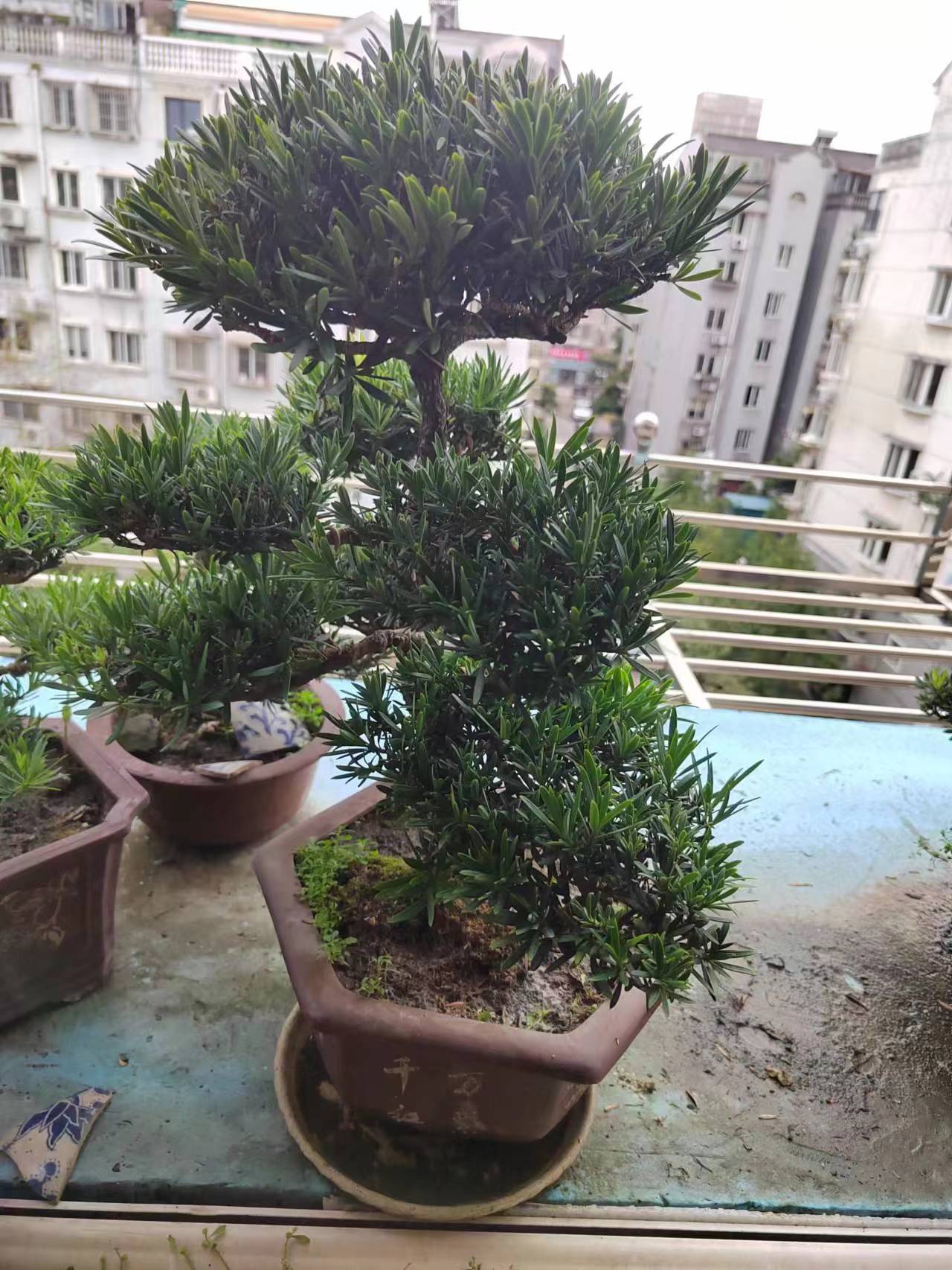 紫竹苑 3室2厅1卫 131m&sup2;