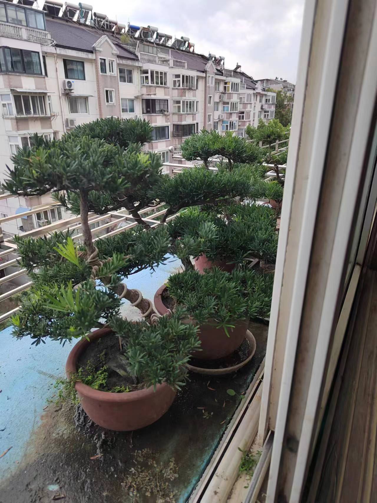 紫竹苑 3室2厅1卫 131m&sup2;