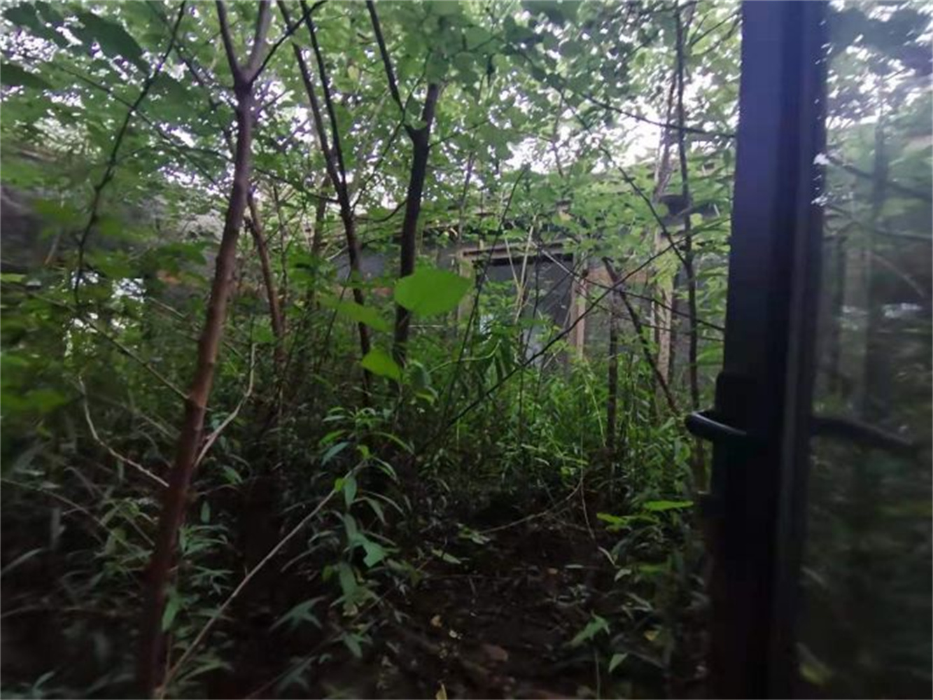 南通壹城水清木华 5室2厅2卫 736.96m&sup2;