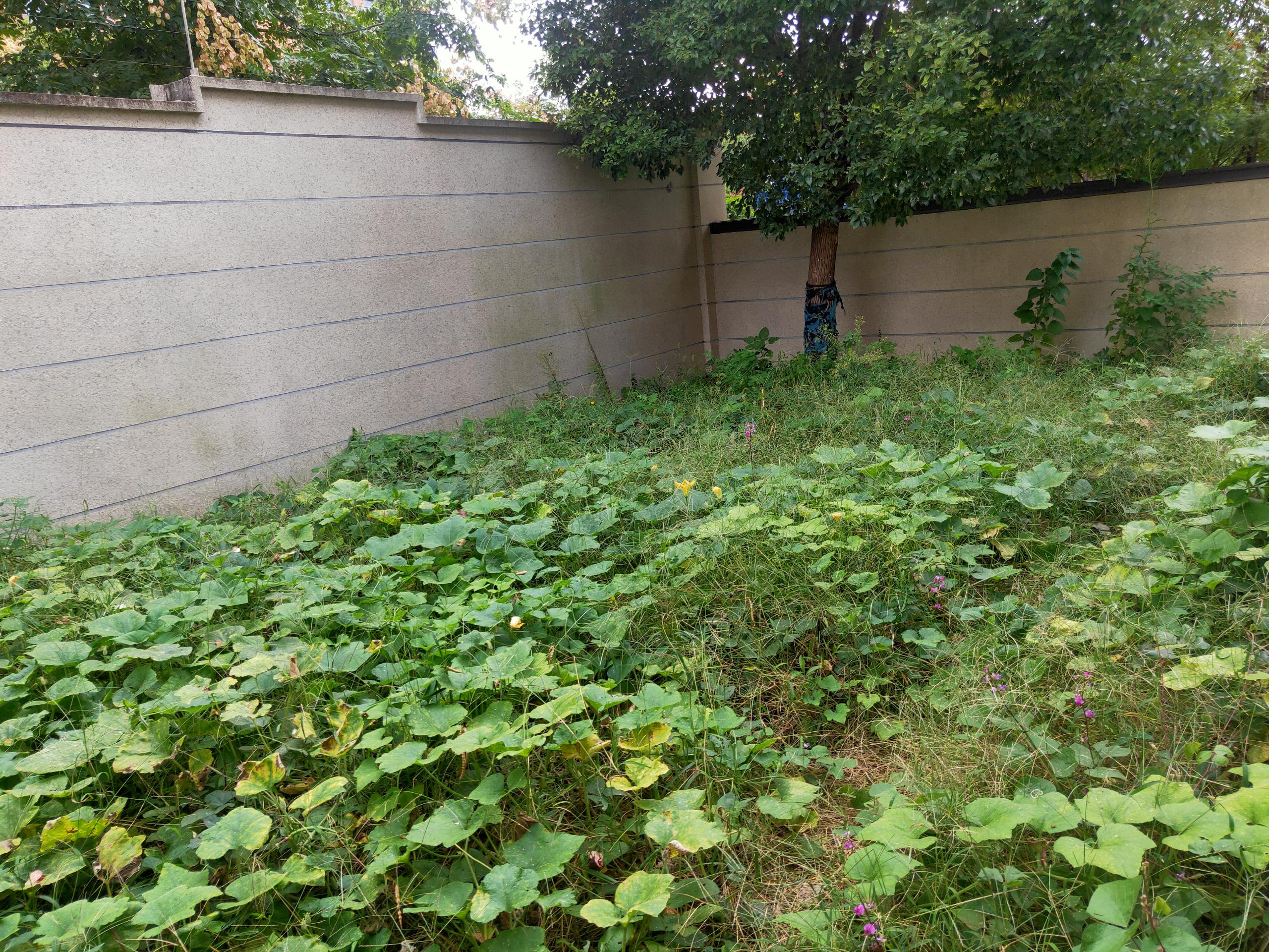 景瑞御府 5室2厅3卫 183.41m&sup2;