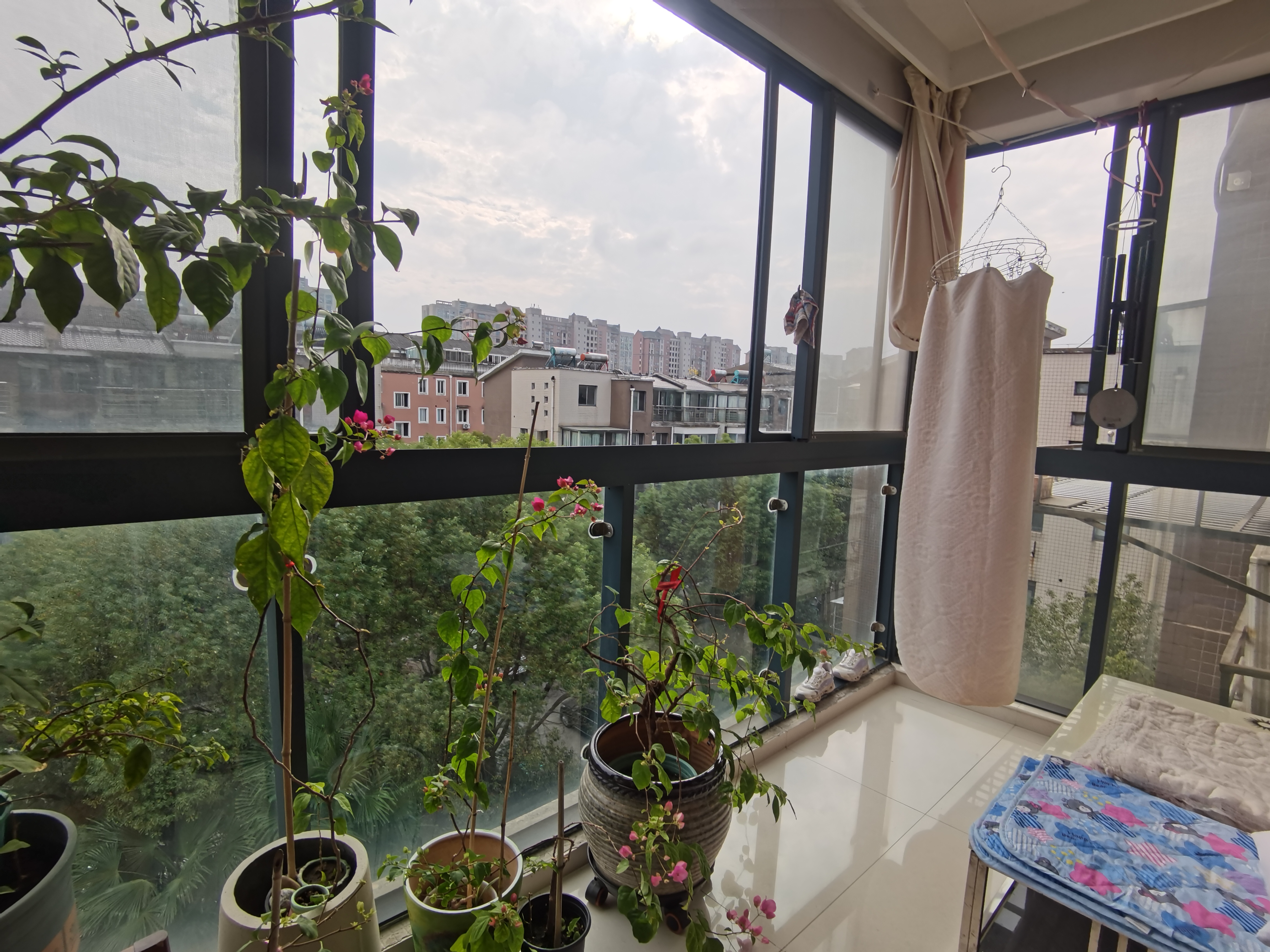 金桥人家 4室2厅2卫 223m&sup2;