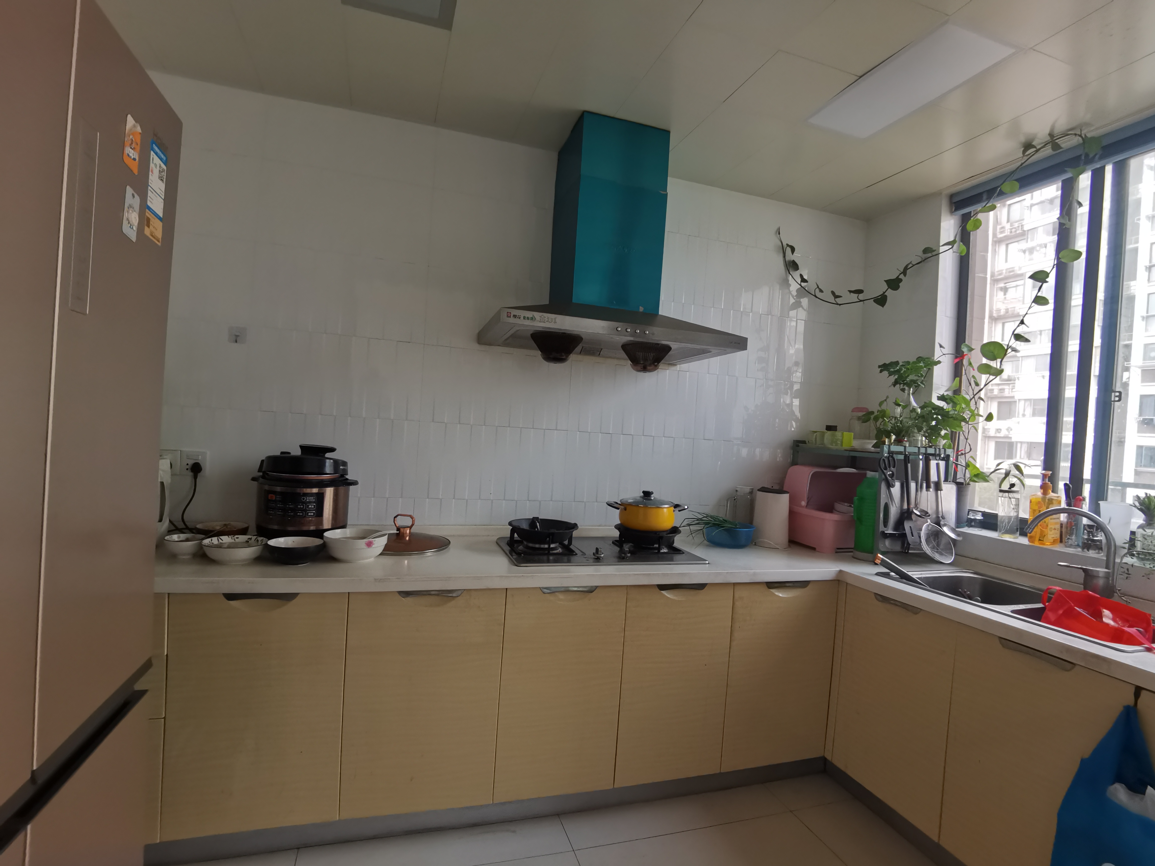 金桥人家 4室2厅2卫 223m&sup2;