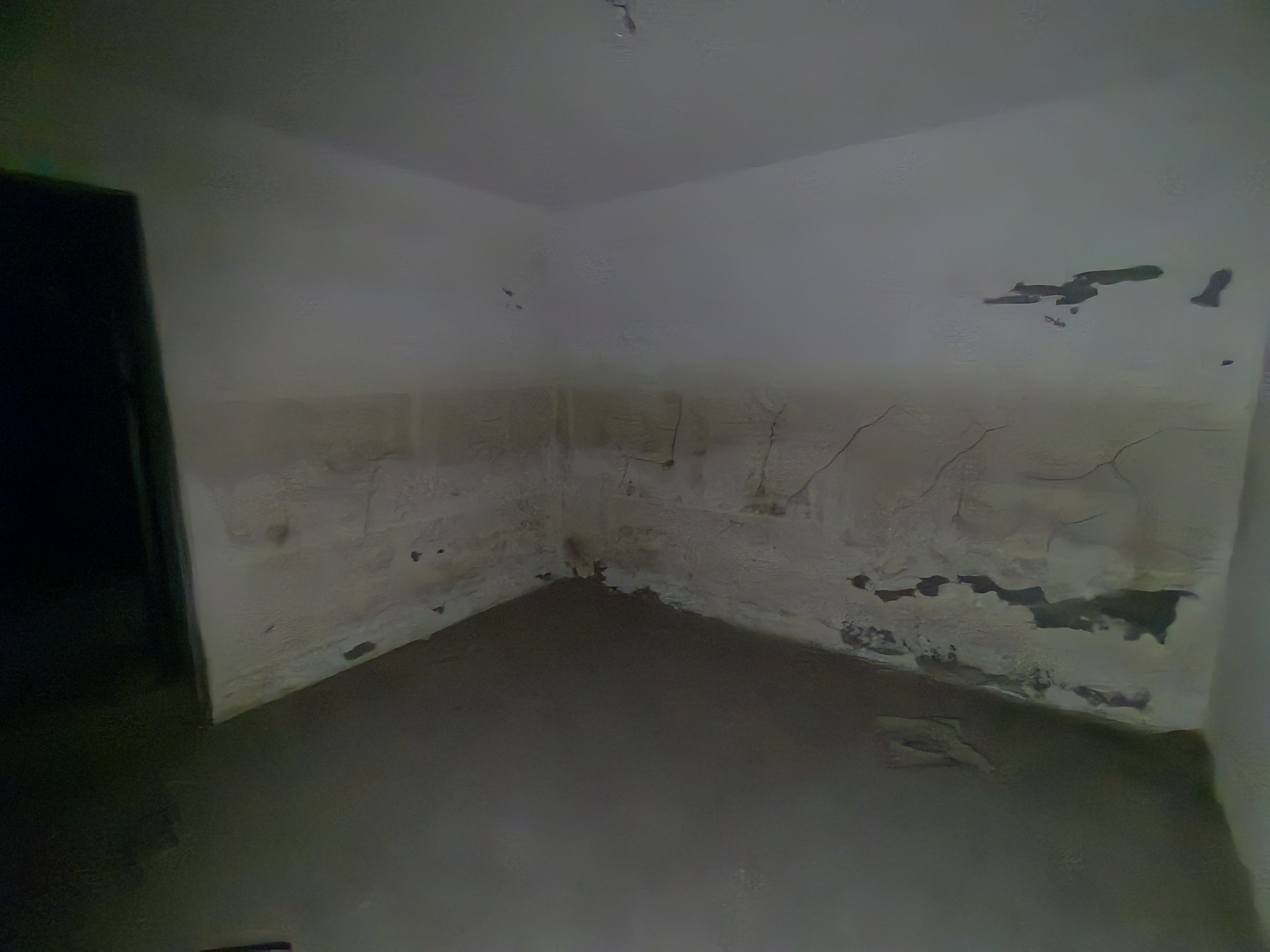 军山汇贤居 4室2厅2卫 359.69m&sup2;