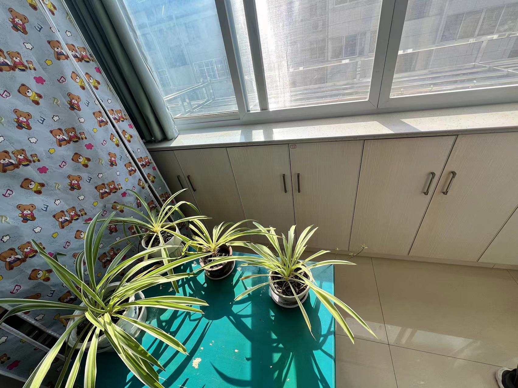 北濠桥东村 3室1厅1卫 86.09m&sup2;