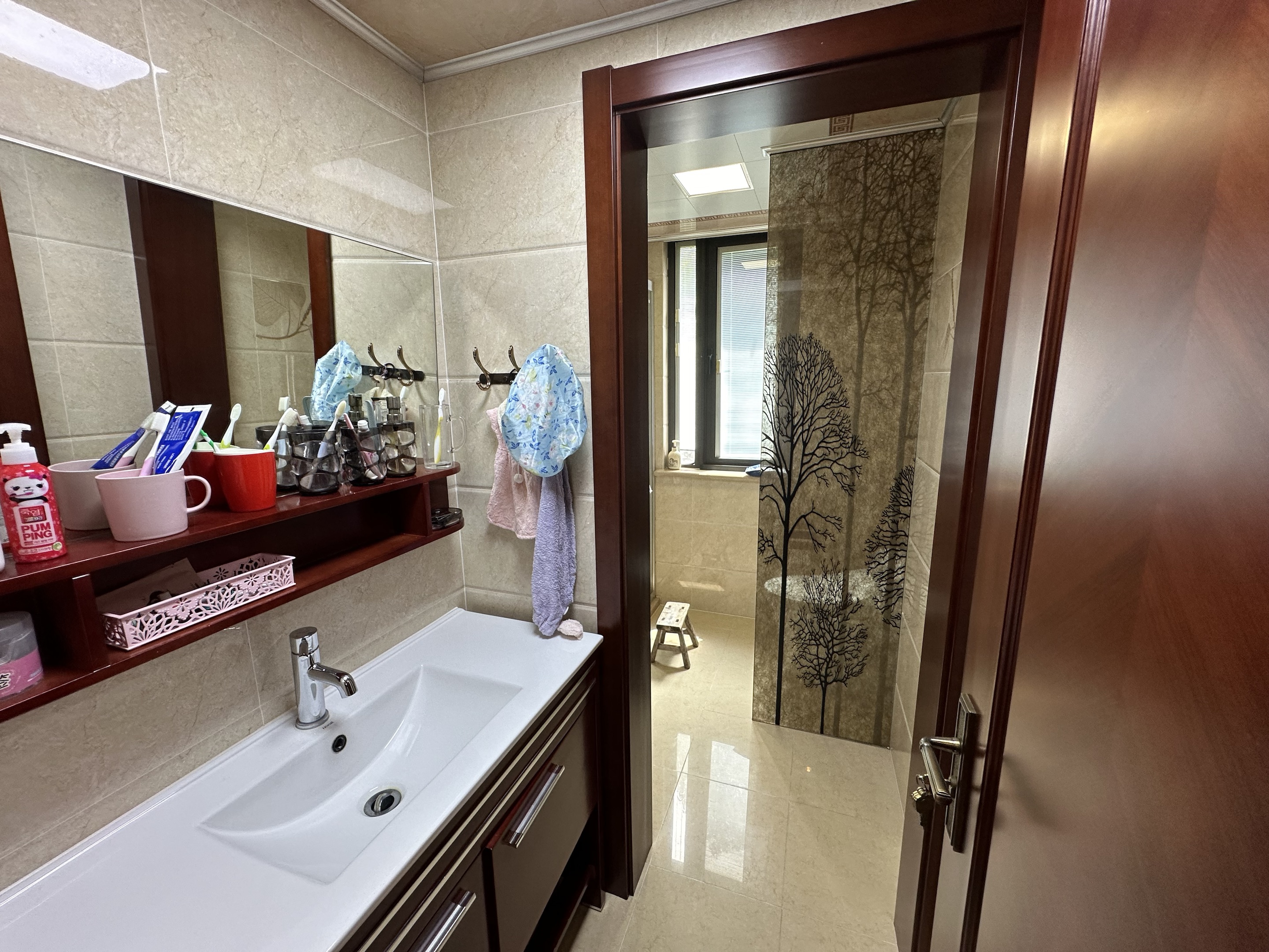 莱茵河畔 5室2厅3卫 235m&sup2;