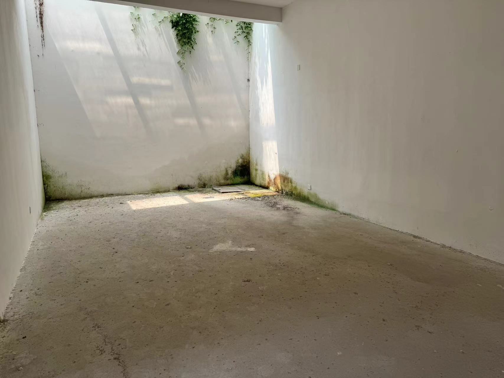 南通别业 5室2厅4卫 586.35m²