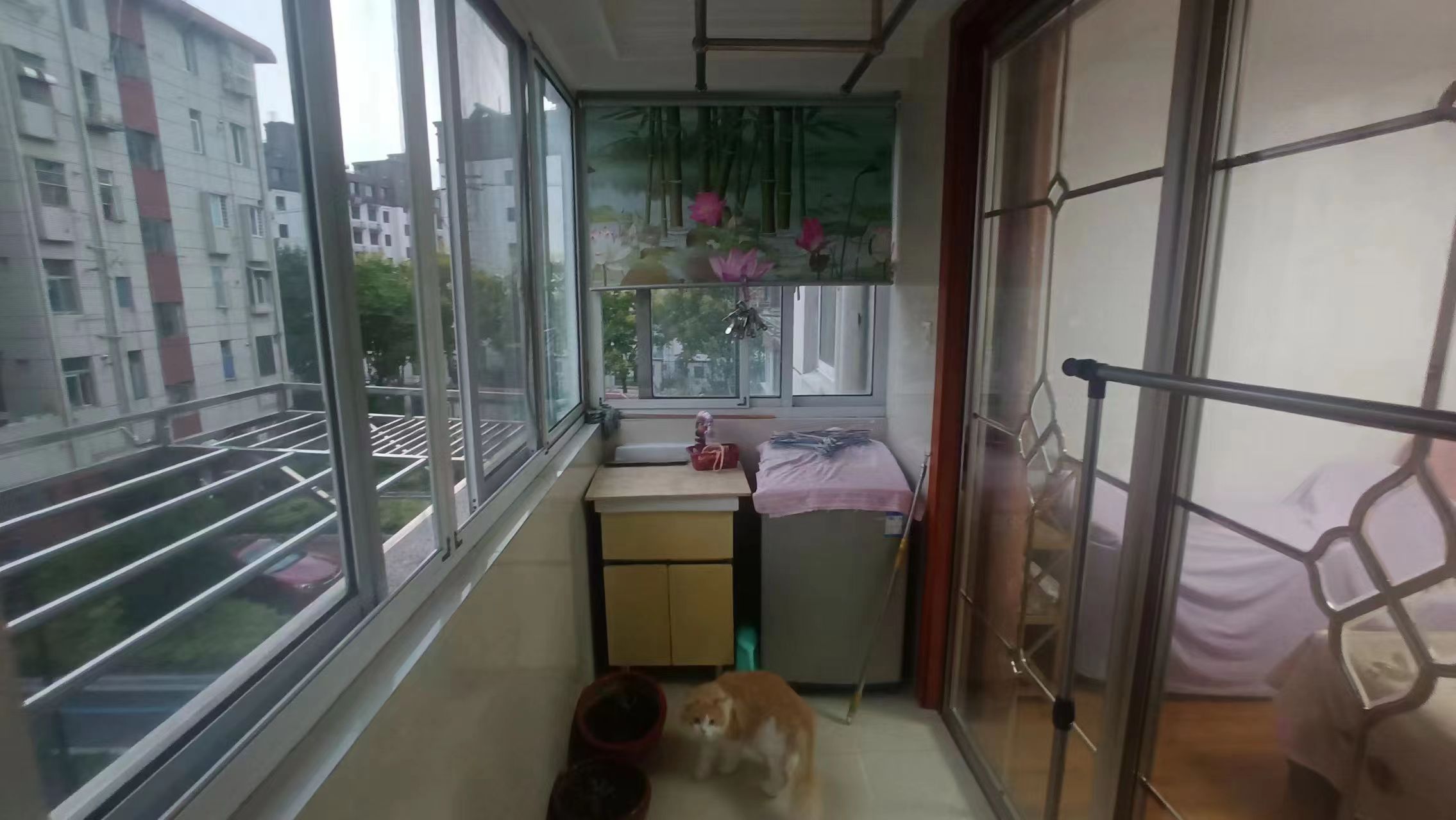 光明西村 2室2厅1卫 74.17m²