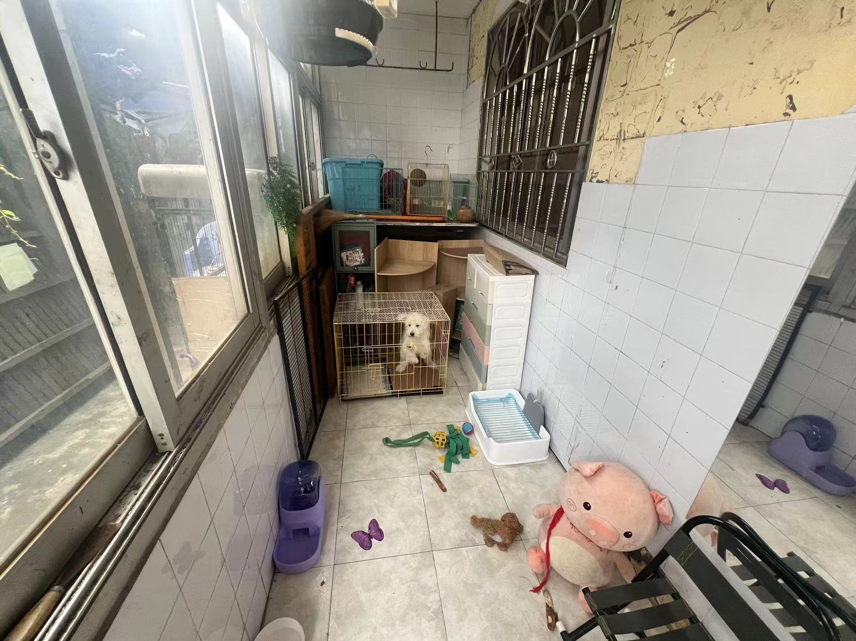 濠东路51号小区 3室1厅1卫 95m²