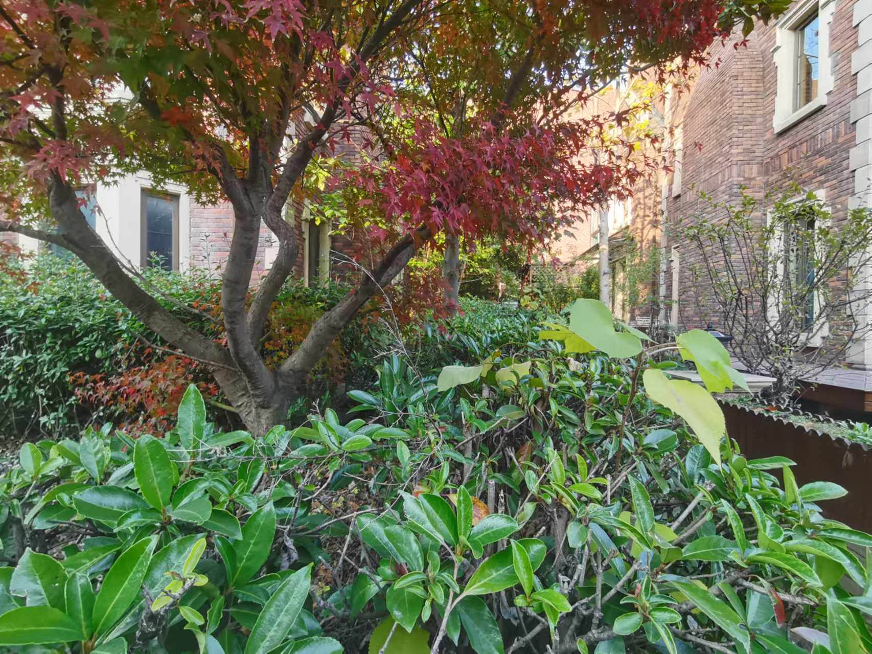 紫琅上郡 6室3厅3卫 265.28m&sup2;