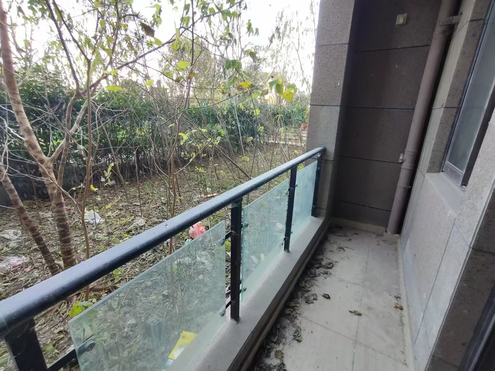 碧桂园时代悦城 3室2厅1卫 124m&sup2;