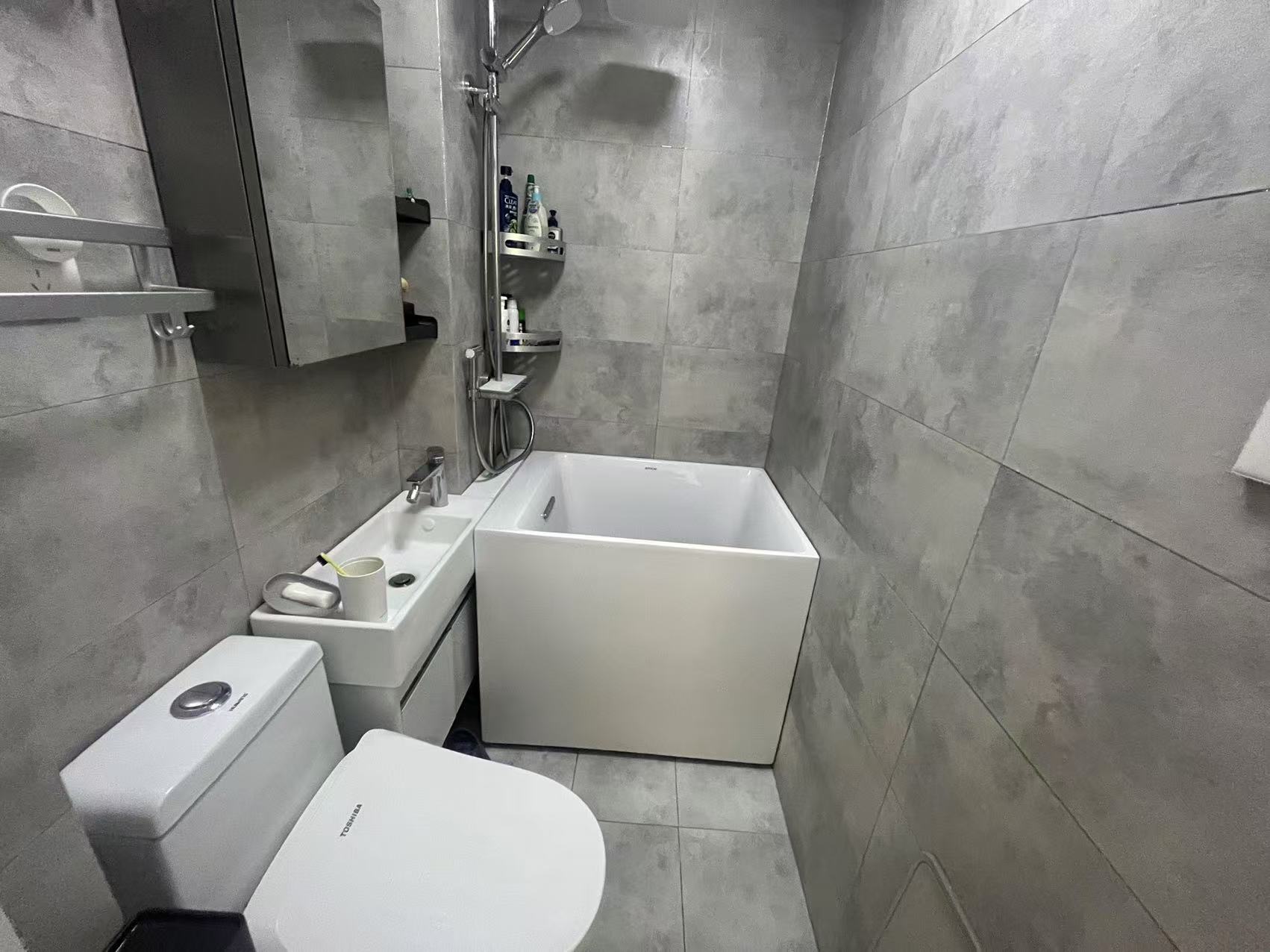 万象新路 1室1厅1卫 43.55m&sup2;