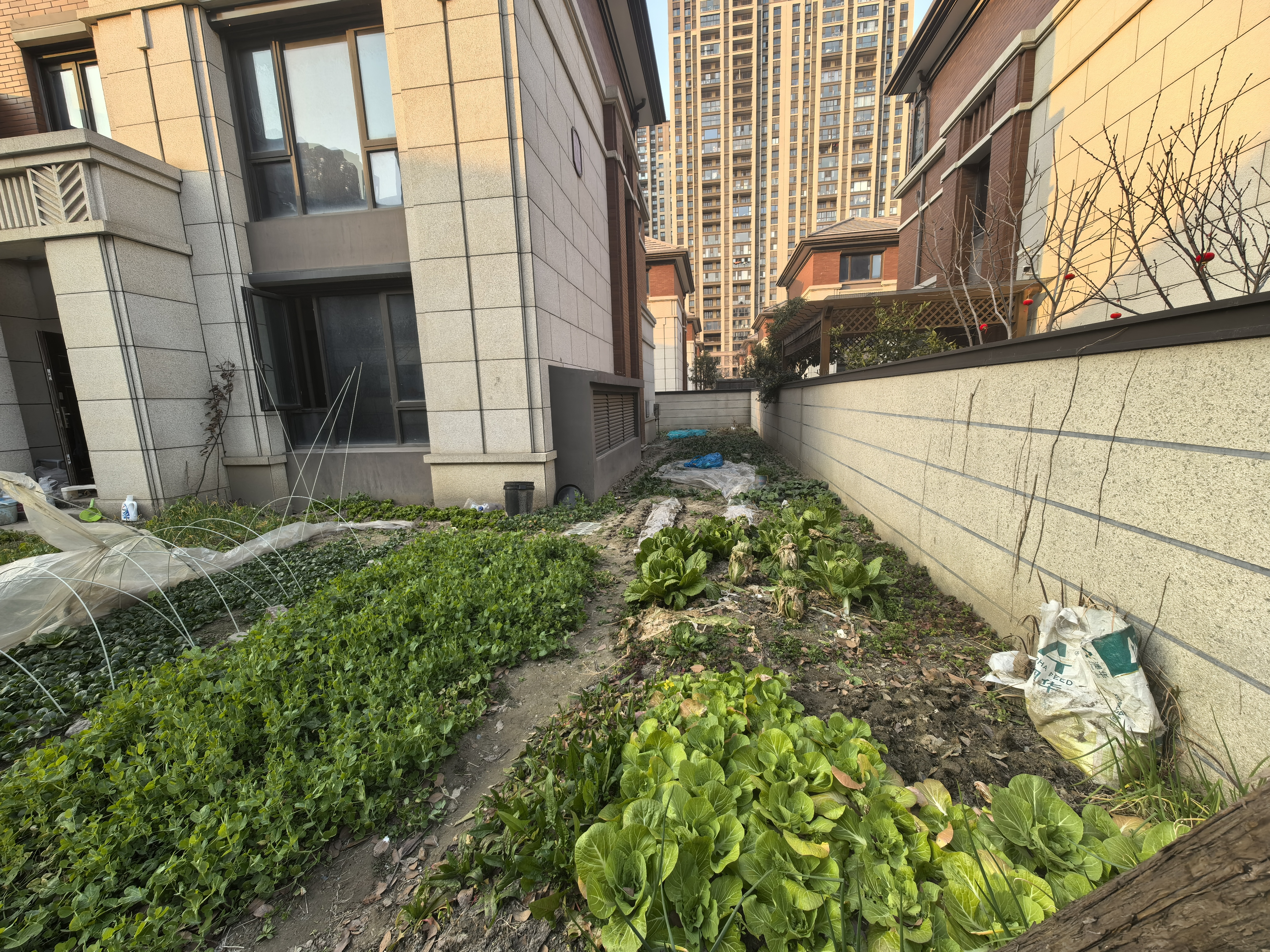 景瑞御府 4室2厅3卫 183.53m&sup2;